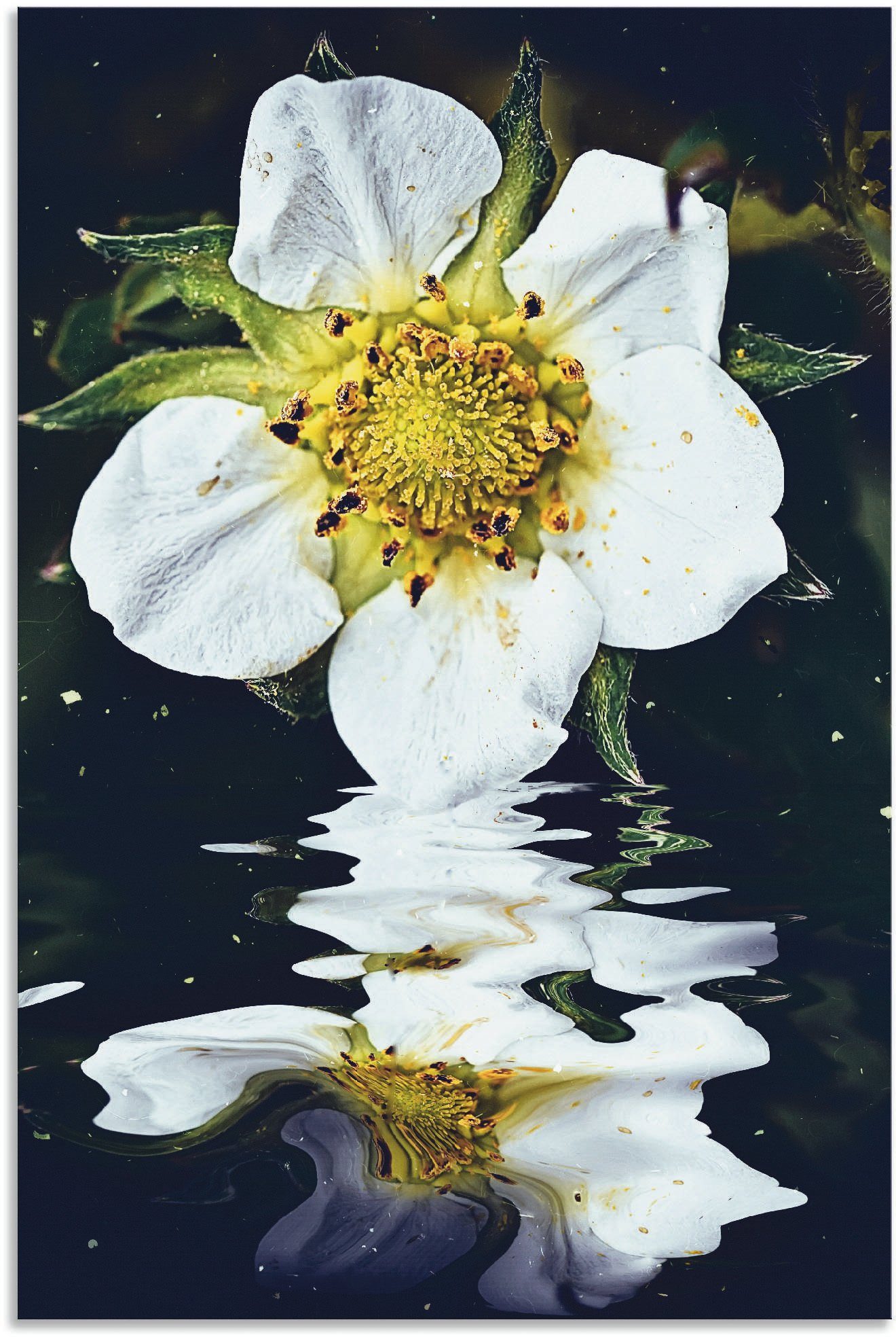 Angebotsaktion Artland Wandbild versch. oder (1 St), in Smoothie, Größen Wandaufkleber als Erdbeer Leinwandbild, Alubild, Poster Blumenbilder