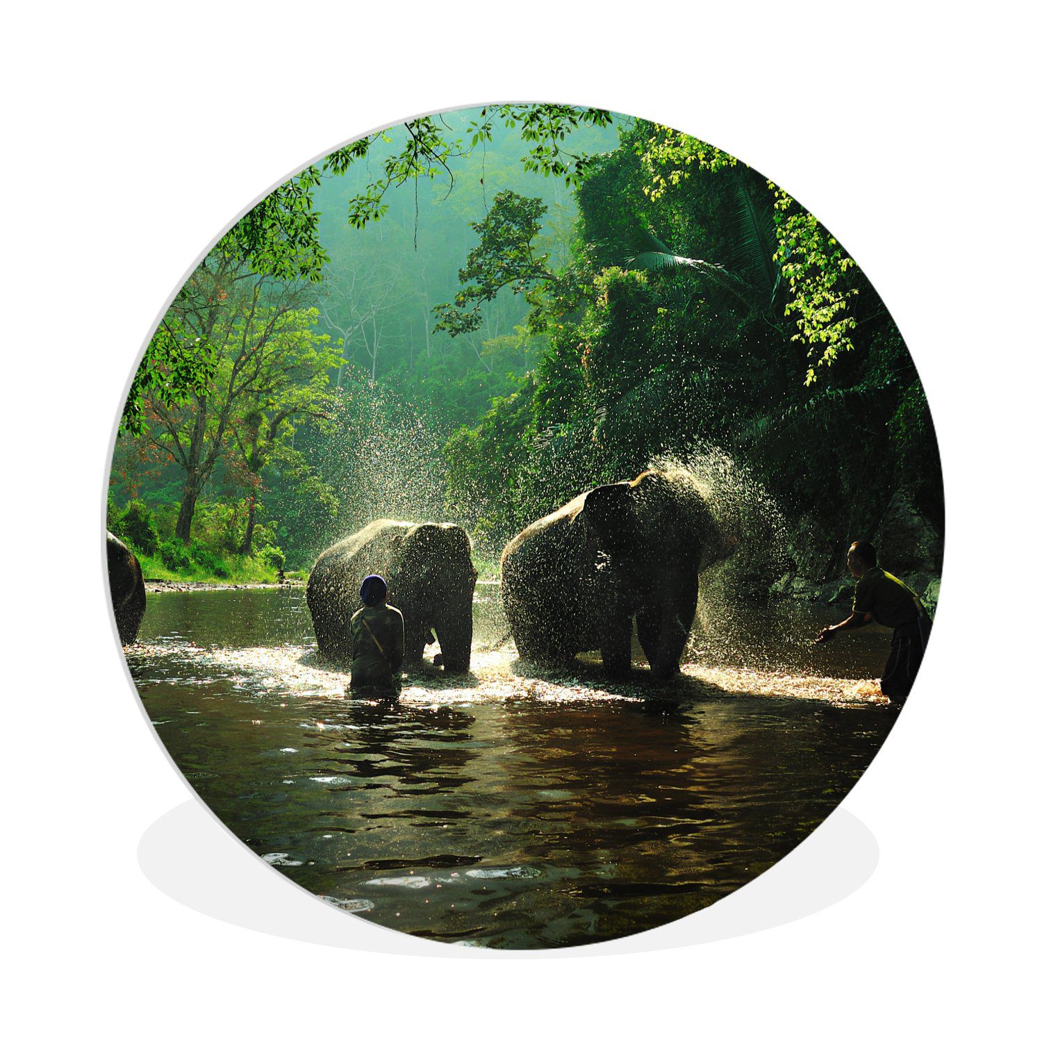 MuchoWow Gemälde Elefant - Wasser - Bäume - Grün - Tiere, (1 St), Kreis Wanddekoration Forex, Rundes Wandbild, Wohnzimmer, 30x30 cm