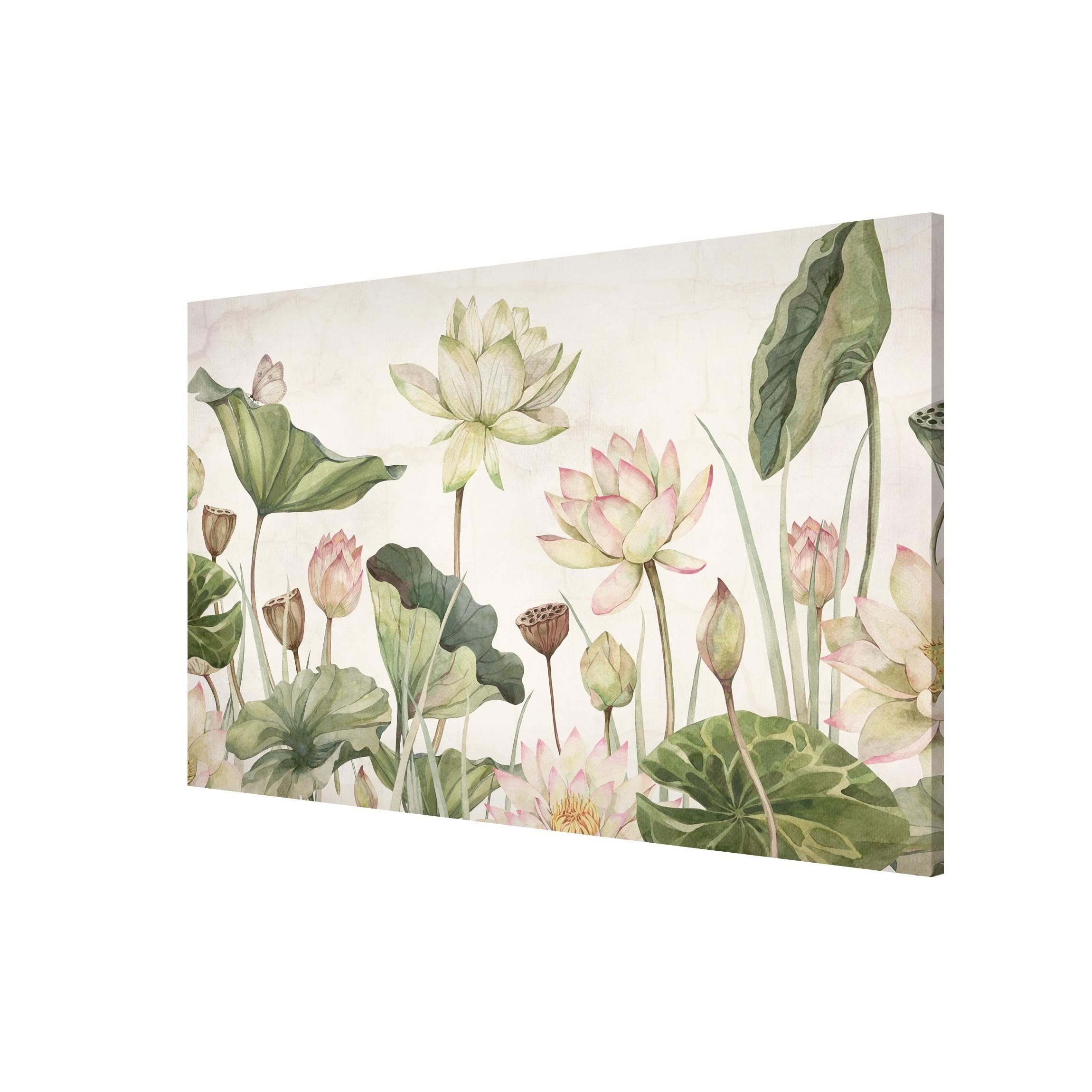 Bilderdepot24 Magnettafel Küche grün Anmutige Seerosen und sanfte Blätter, (1-tlg., Magnetboard Pinnwand für die Wand - metallische Tafel für Magnete), Magnetwand groß mit Motiv Büro Memoboard magnetisch Querformat