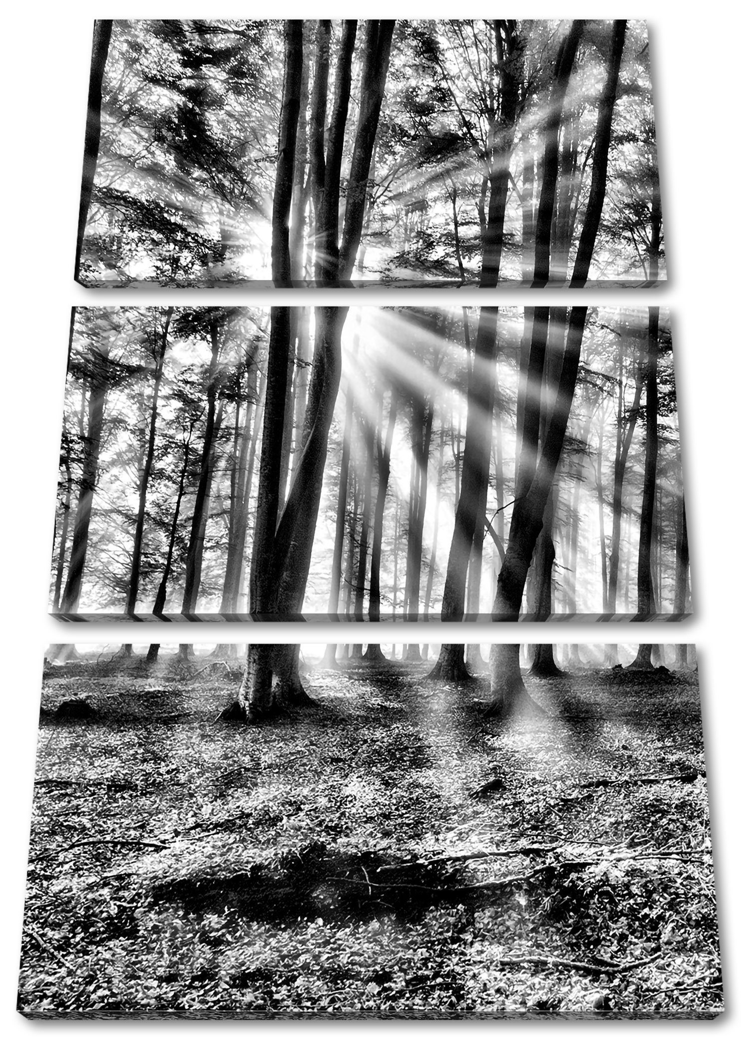 Pixxprint Leinwandbild Waldlichtung im Sonnenschein, Waldlichtung im Sonnenschein 3Teiler (120x80cm) (1 St), Leinwandbild fertig bespannt, inkl. Zackenaufhänger