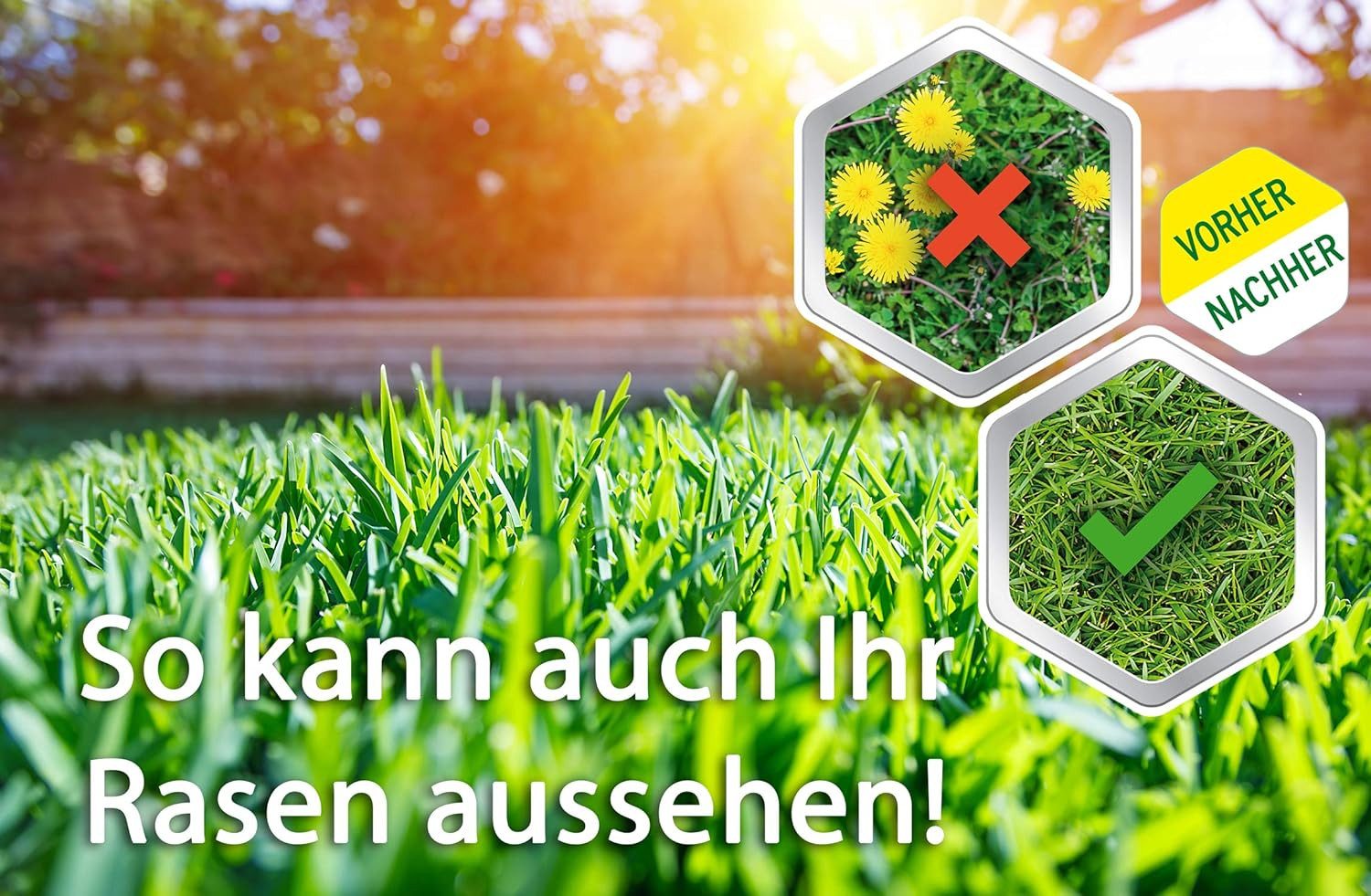 ROUNDUP Unkrautbekämpfungsmittel Roundup Rasen Unkrautfrei Konzentrat 500 ml