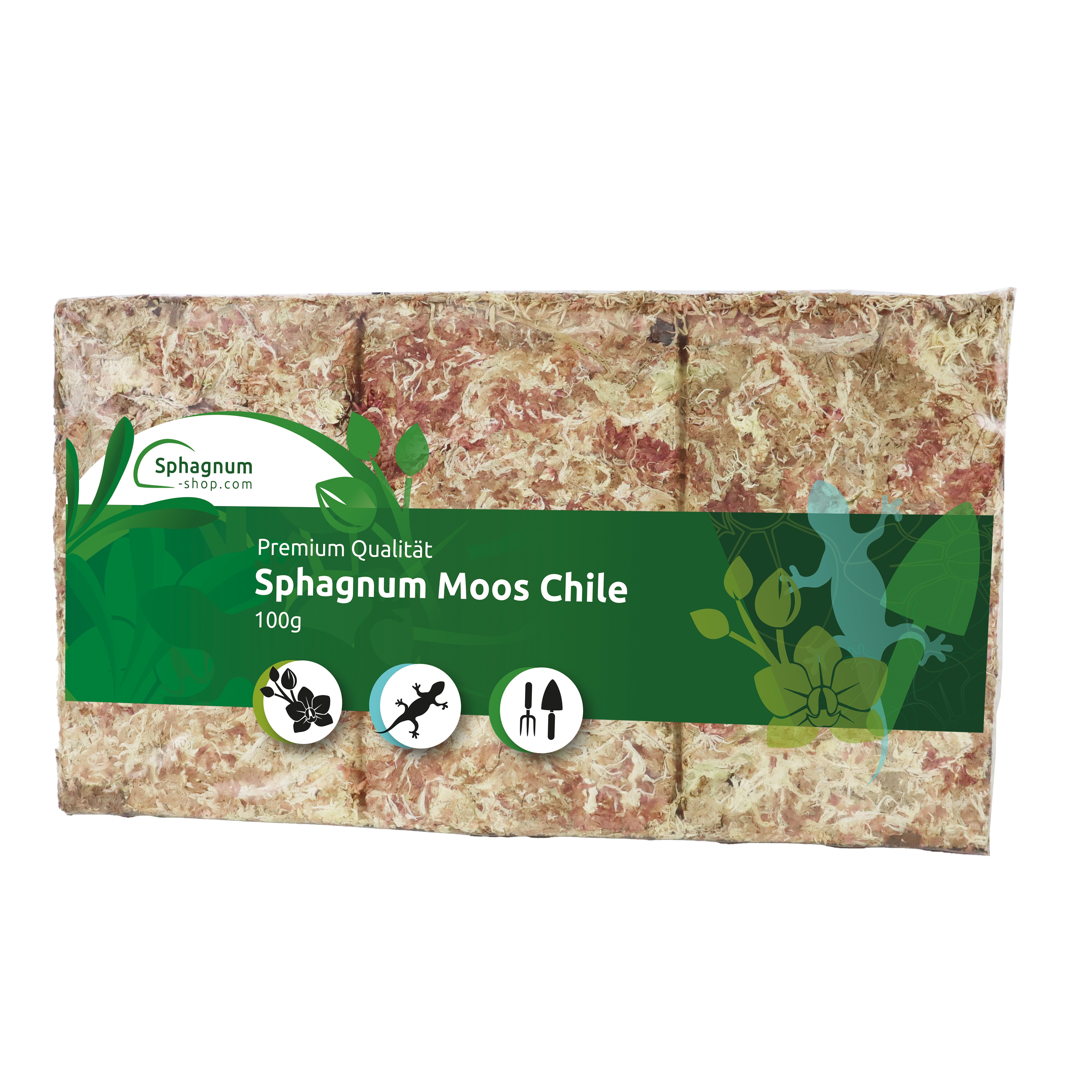 sphagnum-shop.com Terrarien-Substrat Sphagnum Moos Moosziegel aus Chile für Terrarium und Orchideen, Chilenische Premium-Qualität, Ideal für Pflanzenpflege & Terraristik