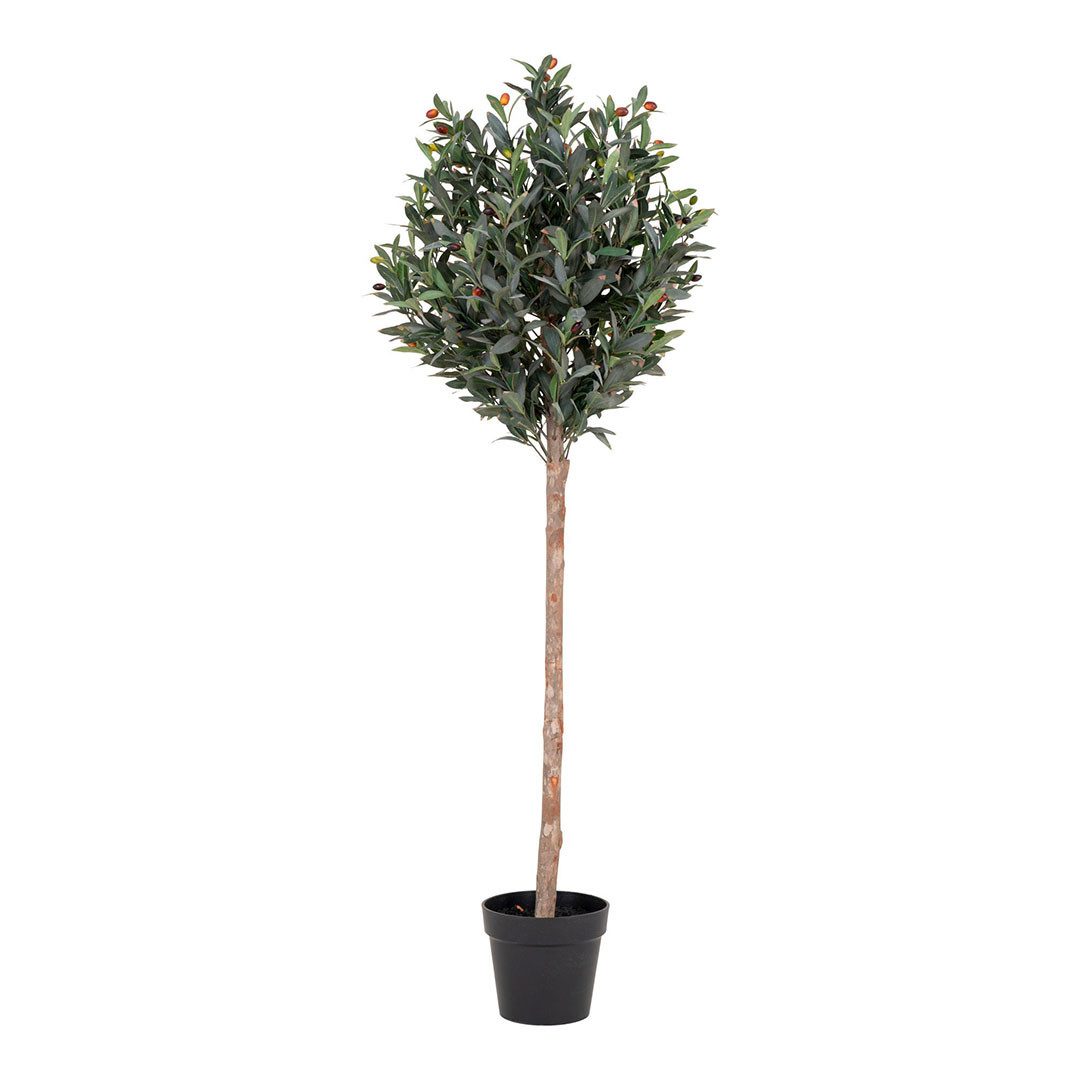 Kunstpflanze Oliventræ Künstliche Pflanze H150 cm grün., ebuy24, Höhe 150 cm