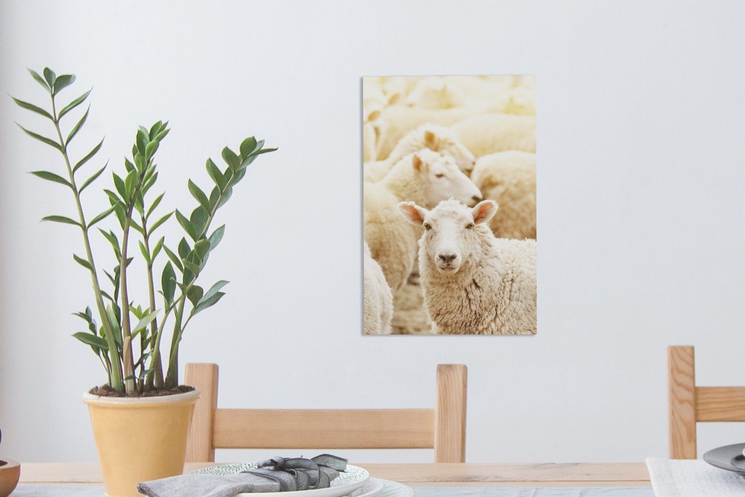 OneMillionCanvasses® St), (1 - - Gemälde, inkl. Leinwandbild 20x30 cm Wolle Schaf Weiß, bespannt fertig Zackenaufhänger, Leinwandbild