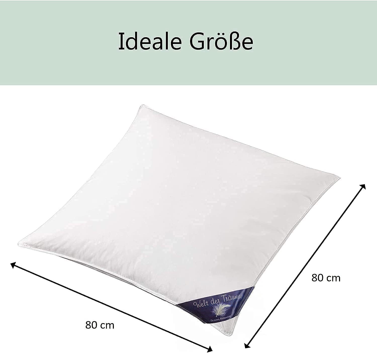 Welt der Träume 3-Kammer-Kopfkissen 2 Stück günstig online kaufen