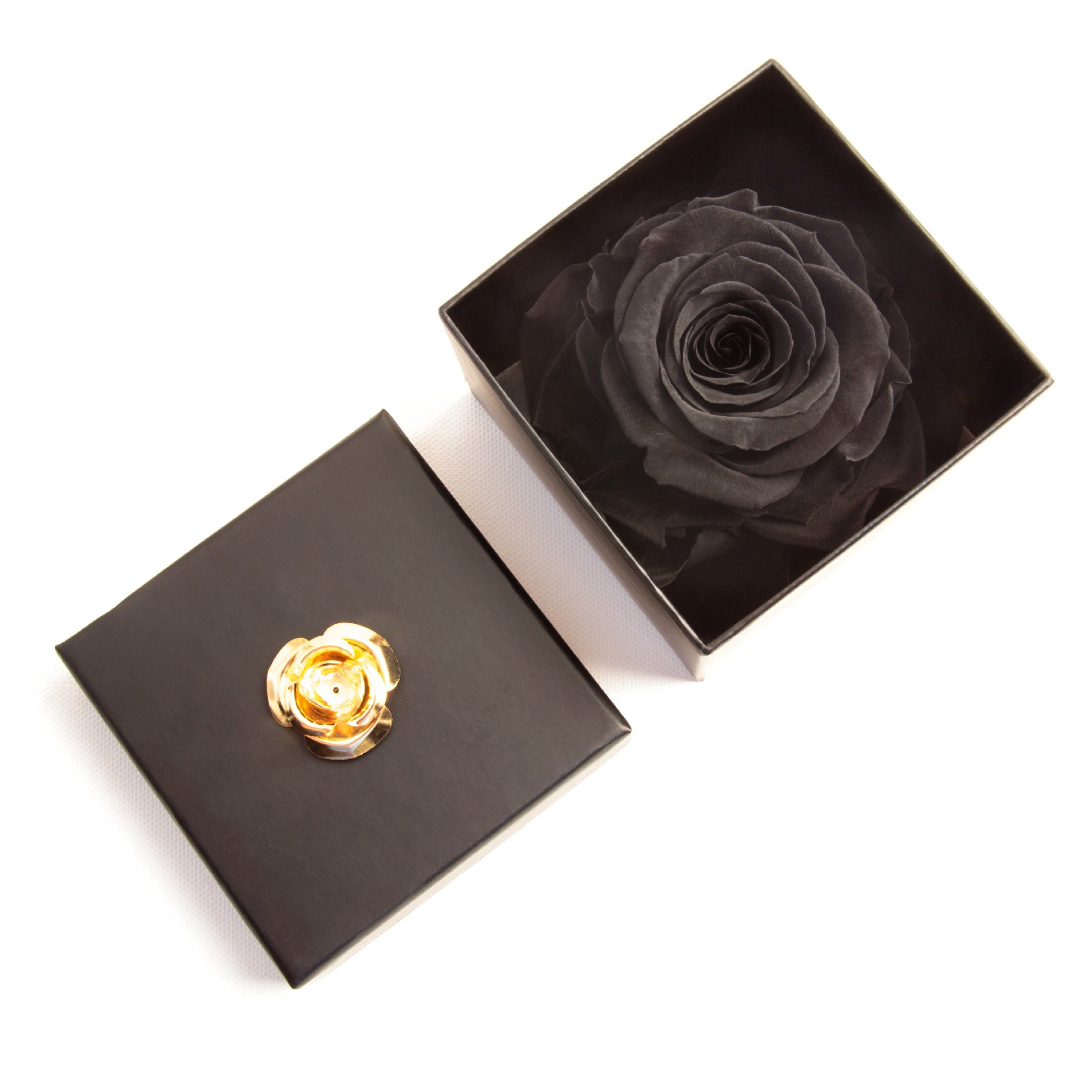 Kunstblume 1 Infinity Rose haltbar 3 Jahre ewige Rose in Box Rose, ROSEMARIE SCHULZ Heidelberg, Höhe 6.5 cm, Echte Rose haltbar bis zu 3 Jahre, Made in Germany