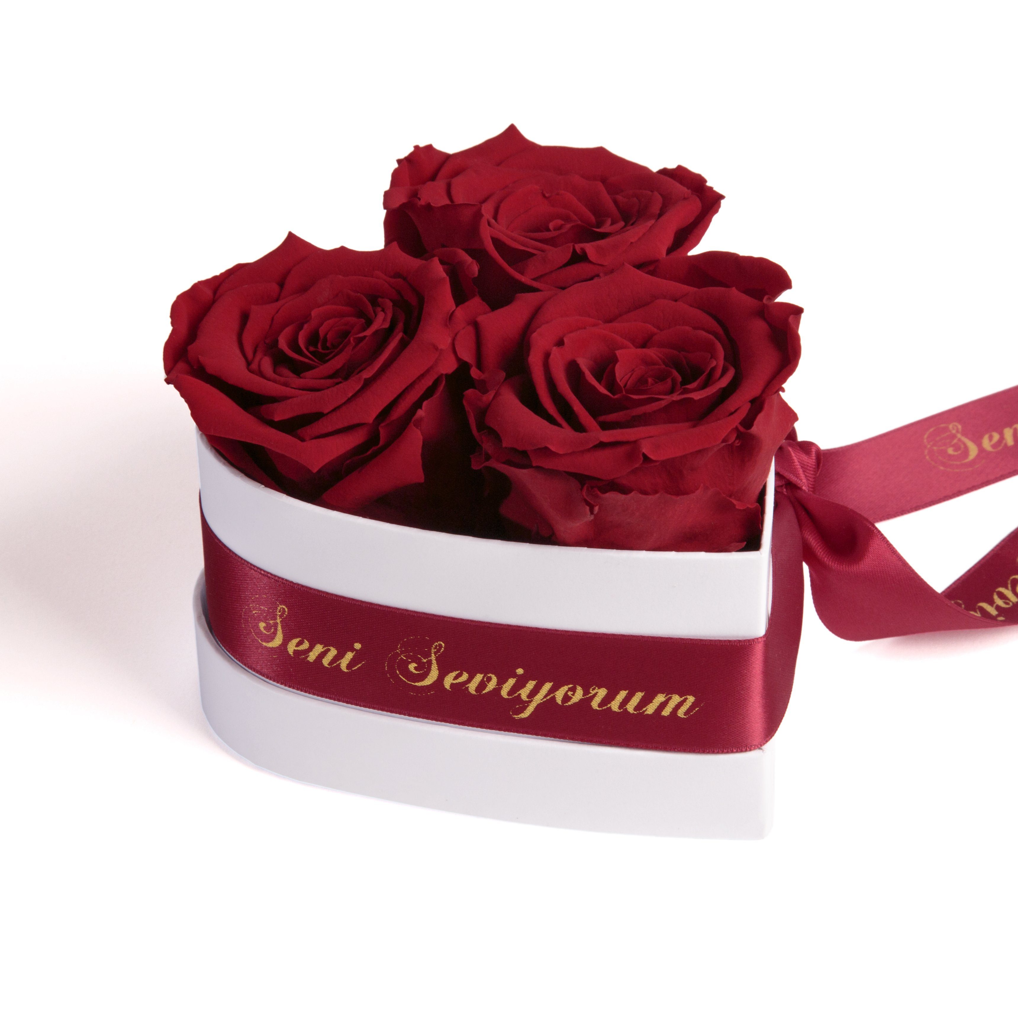 Kunstblume Seni Seviyorum Infinity Rosenbox Herz 3 echte Rosen konserviert Rose, ROSEMARIE SCHULZ Heidelberg, Höhe 10 cm, echte Rosen lang haltbar Burgundy | Kunstblumen