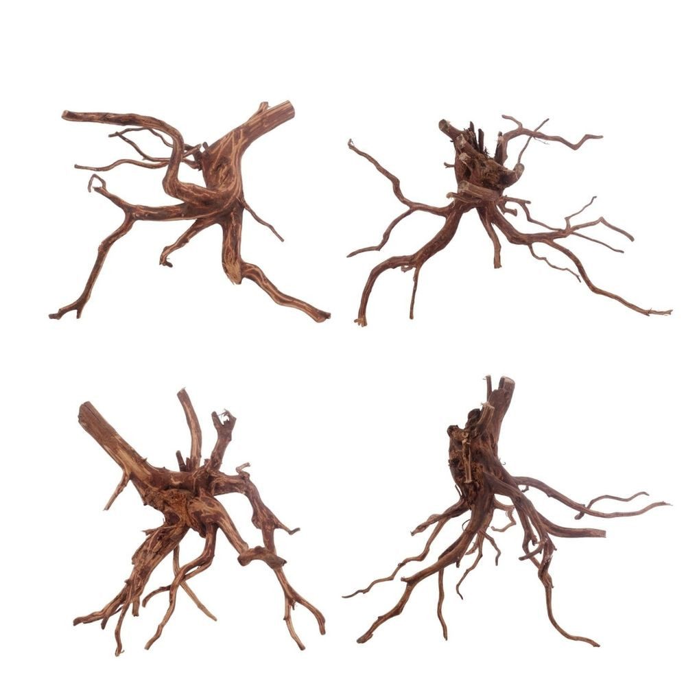 Aquaone Aquarium Red Spider Wurzel XL 40-50 cm