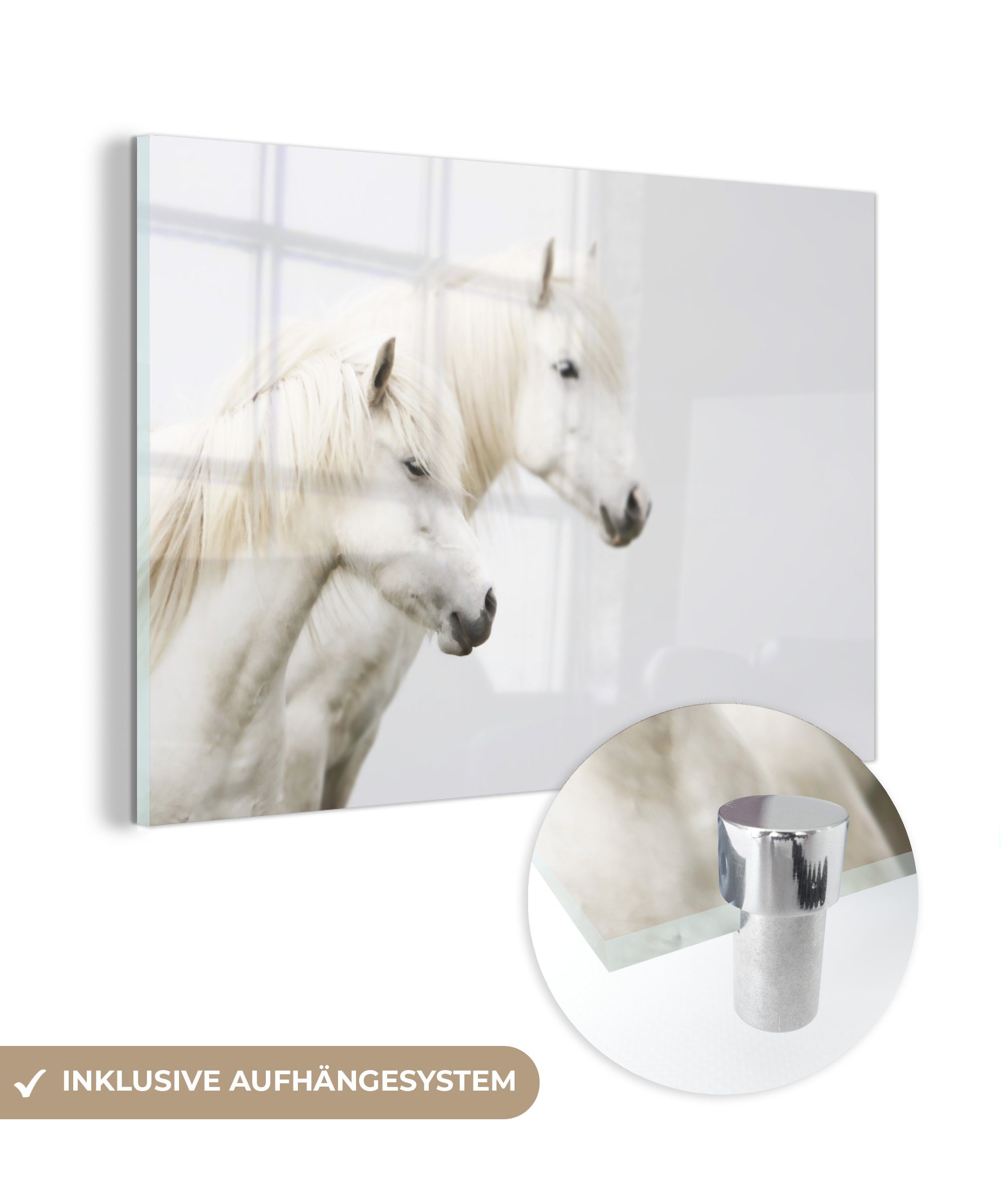 MuchoWow Acrylglasbild Pferde - Weiß - Tiere, (1 St), Acrylglasbilder Wohnzimmer & Schlafzimmer