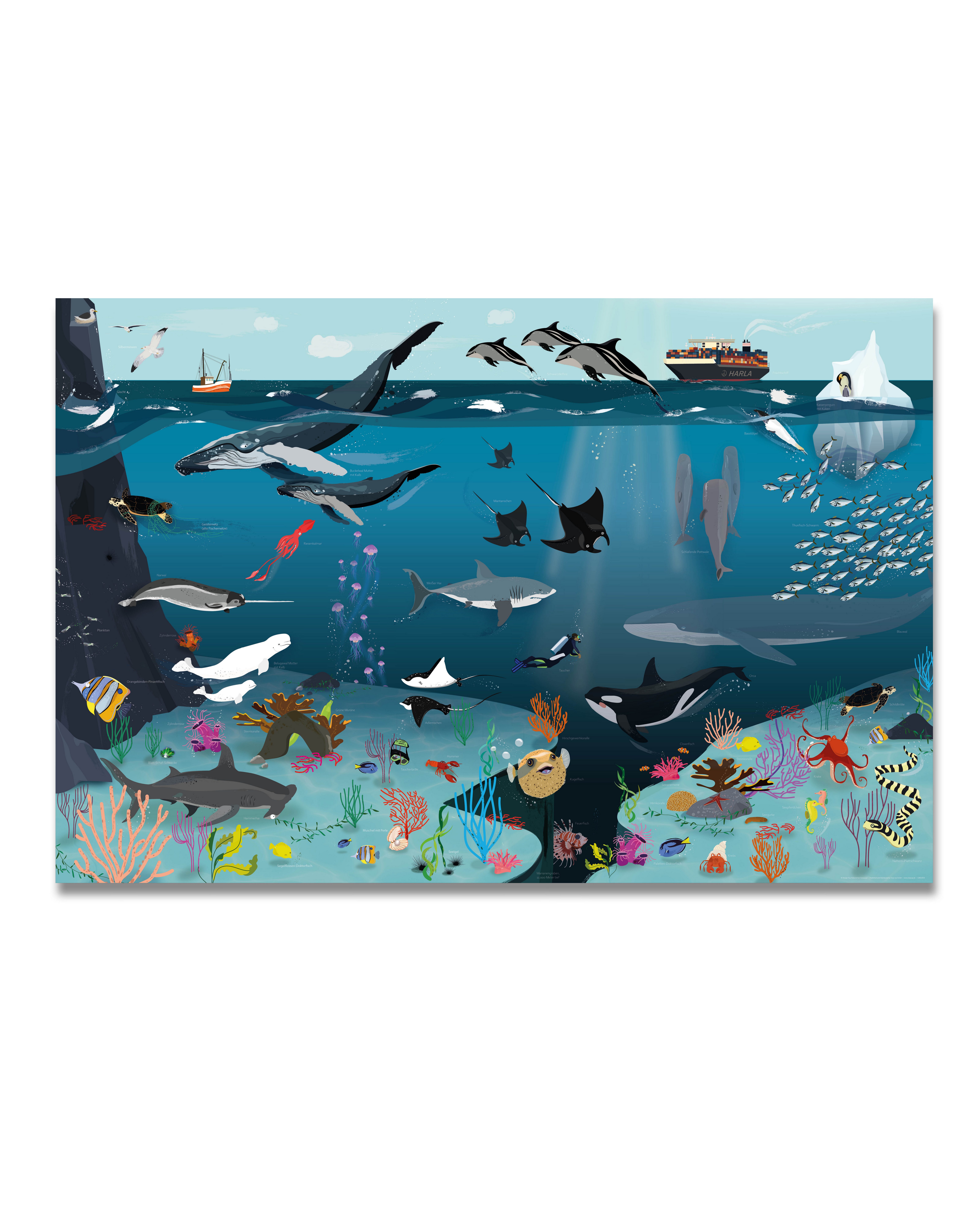 Close Up Poster Unterwasserwelt für Kinder günstig online kaufen