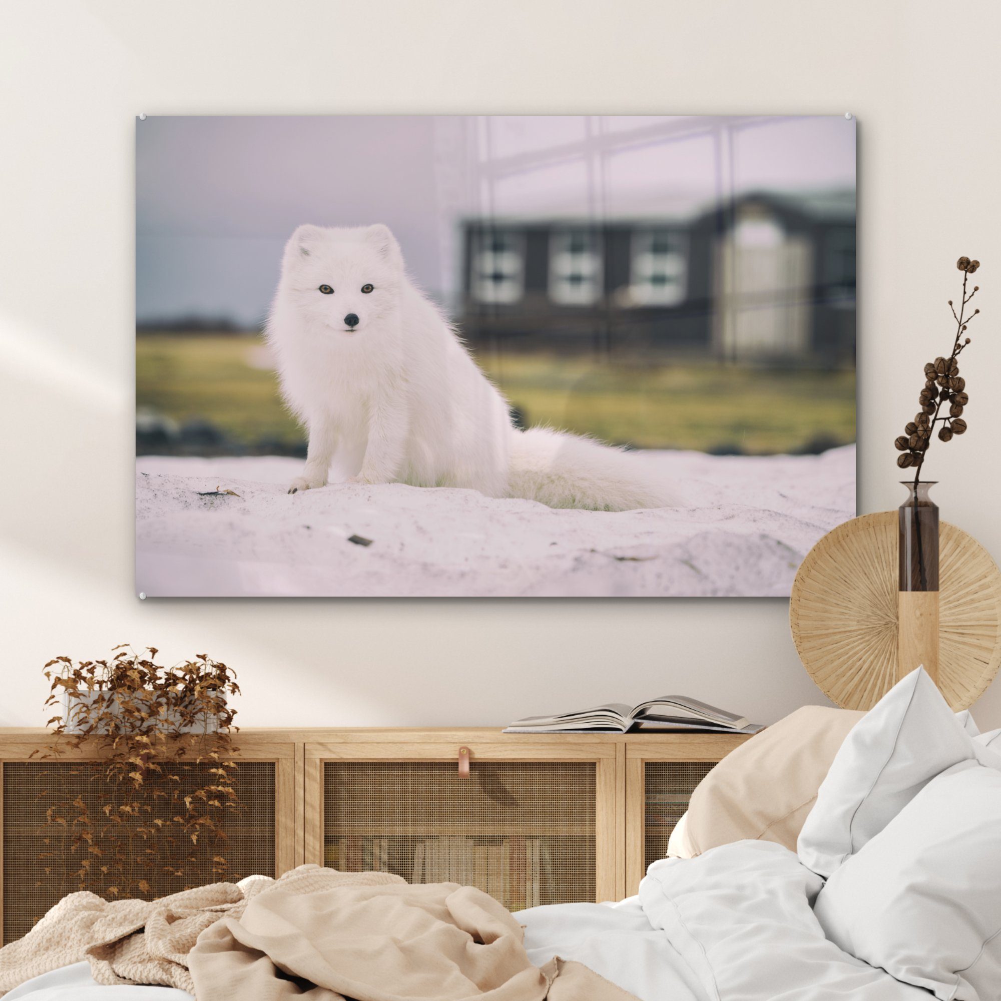 Acrylglasbilder - Fuchs Acrylglasbild Weiß St), MuchoWow Schlafzimmer - & Wohnzimmer (1 Fell,