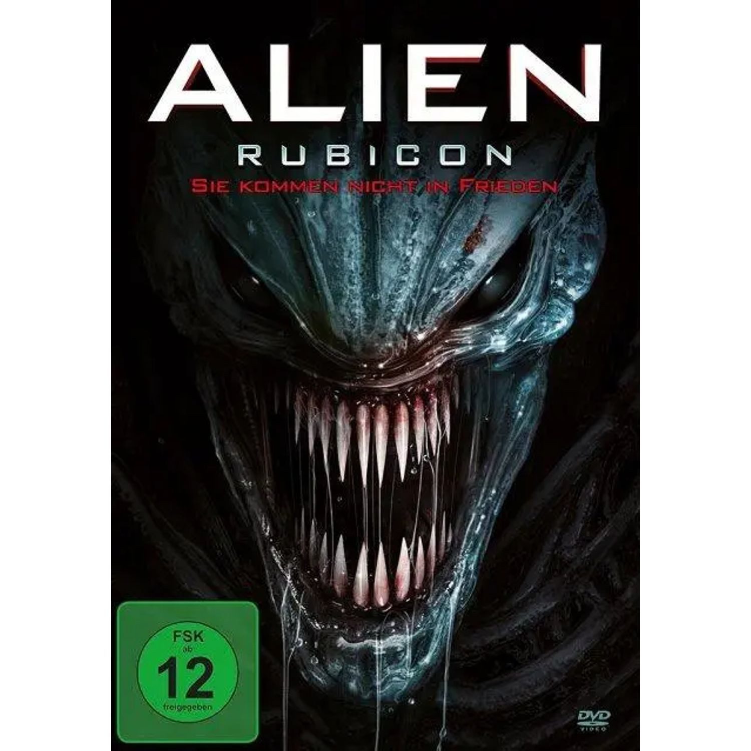 DVD Alien Rubicon - Sie kommen nicht in Frieden