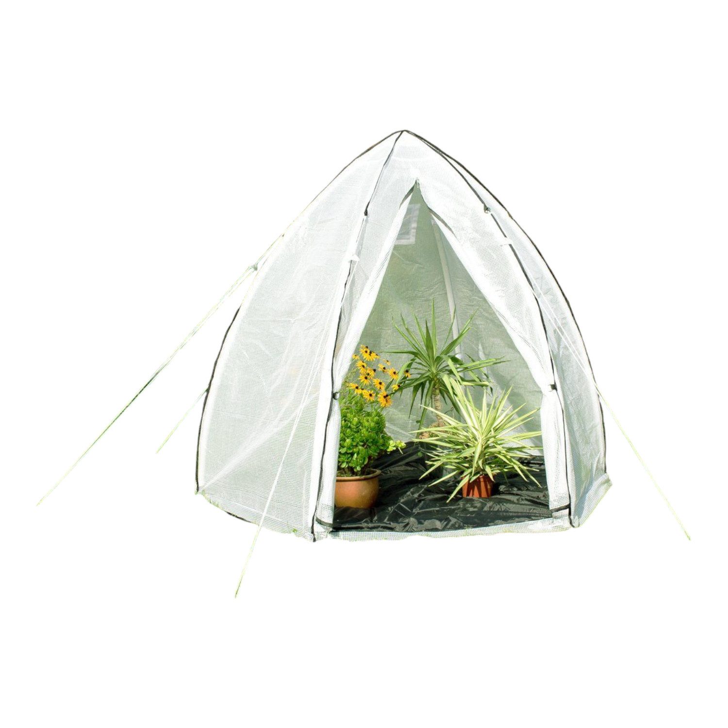 Pergart Foliengewächshaus / Pflanzenzelt Hawaii "L" günstig online kaufen