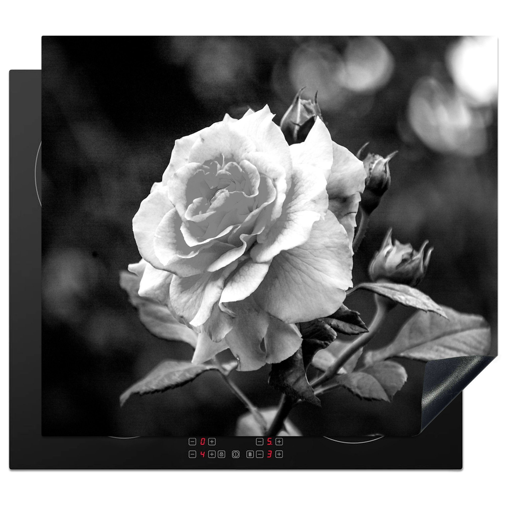 MuchoWow Herdblende-/Abdeckplatte Nahaufnahme einer rosa Rose in einem Rosengarten - schwarz und weiß, Vinyl, (1 tlg), 60x52 cm, Mobile Arbeitsfläche nutzbar, Ceranfeldabdeckung