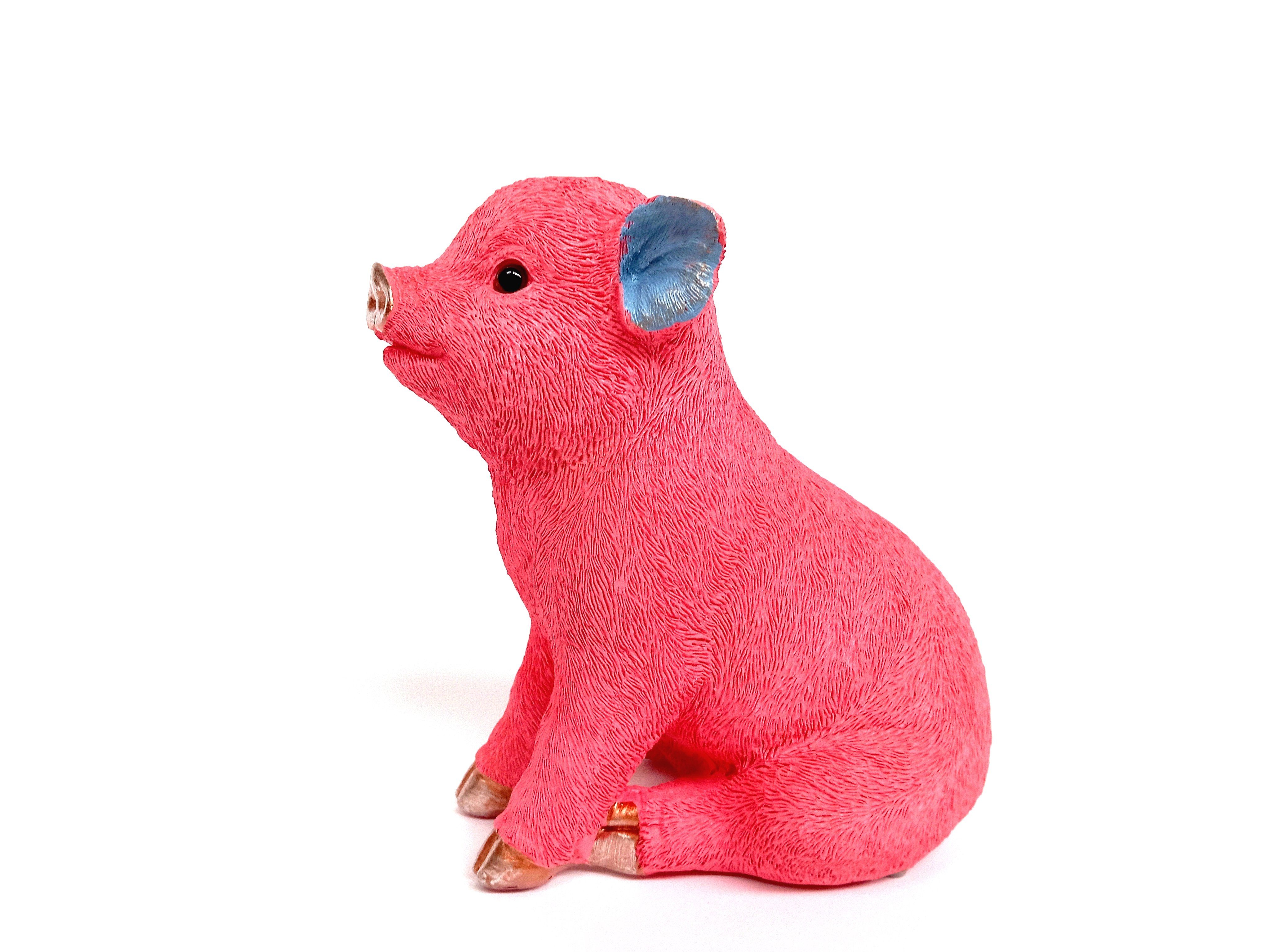 Brillibrum Spardose Sparschwein Spardose Schweinchen Geld-Büchse günstig online kaufen