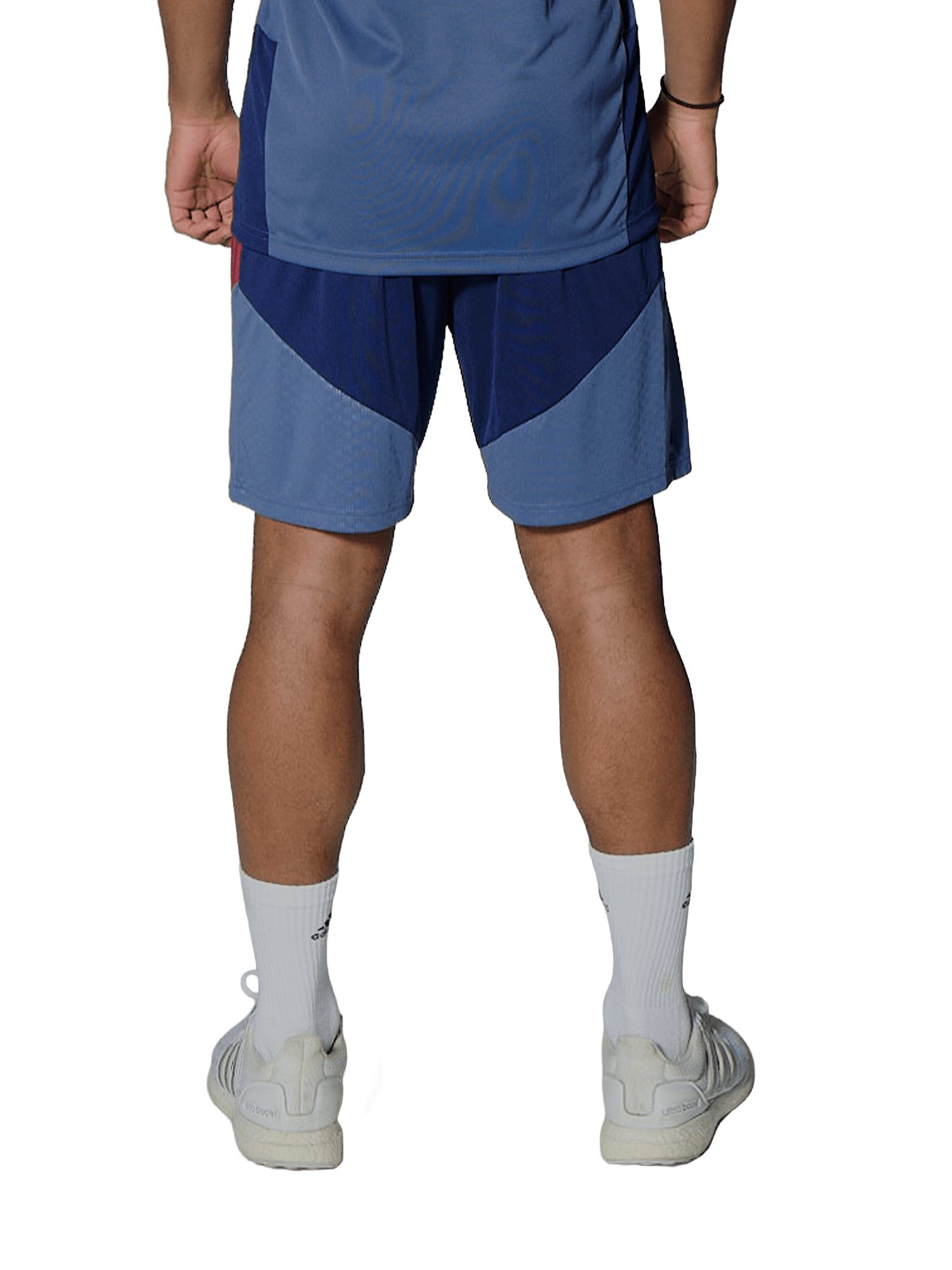 adidas Performance Sweatshorts FC Bayern München, Trainingsshort Teamline, Herren, Blau