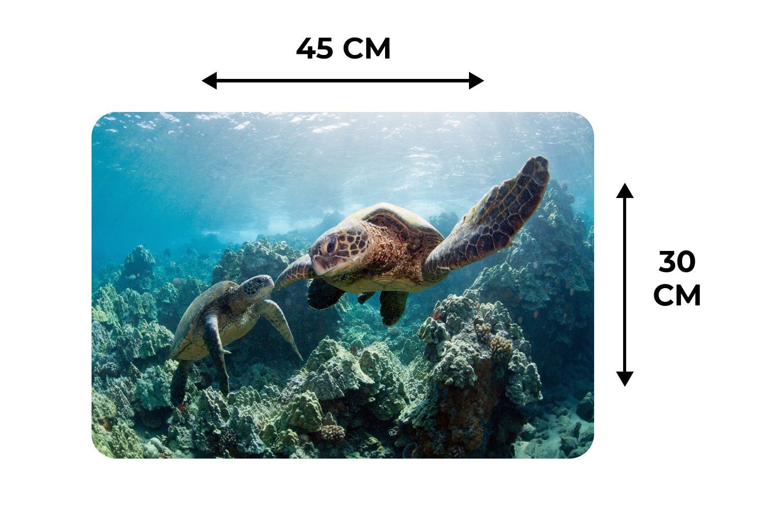 Platzset, Zwei Platzmatte, Schmutzabweisend Meeresschildkröten, MuchoWow, Platzdecken, (6-St), Platzset, Tischmatten