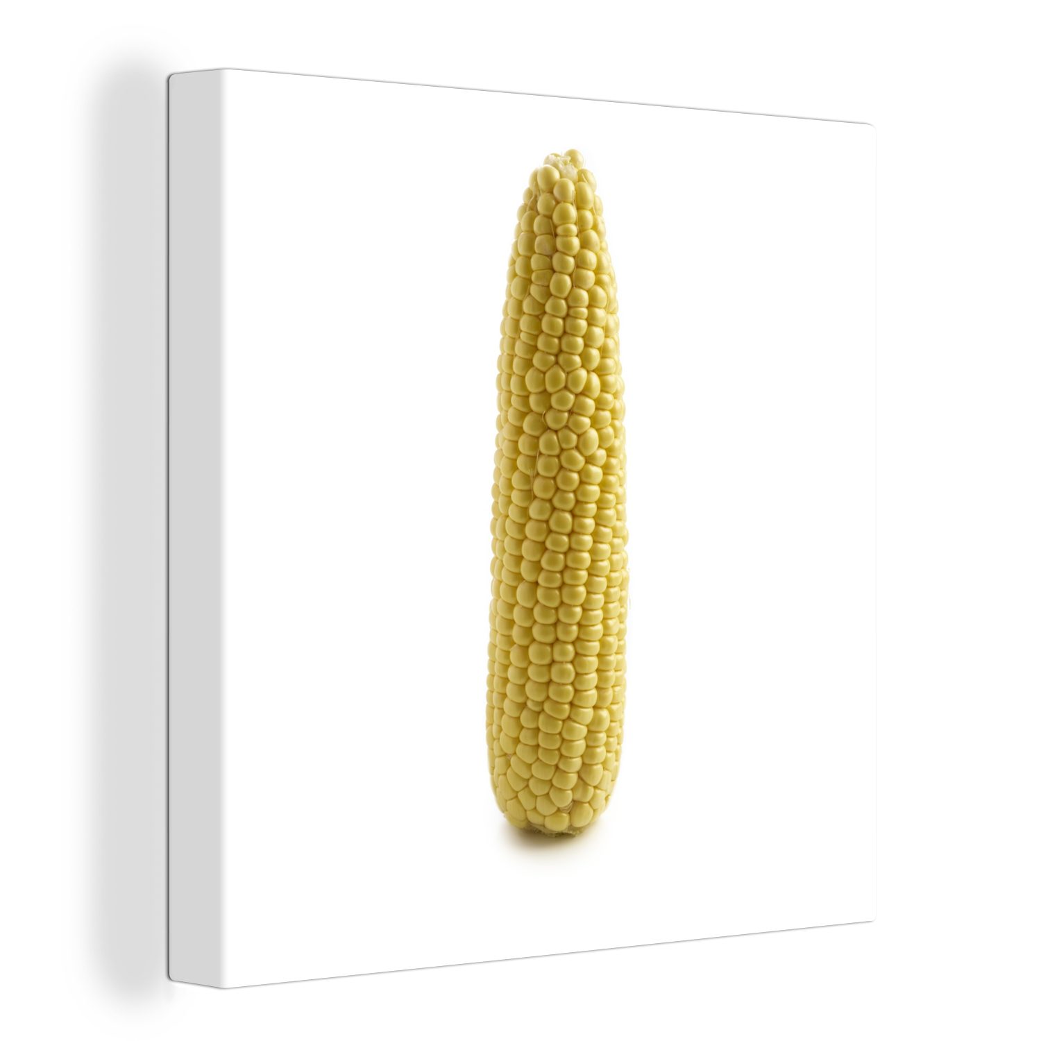 OneMillionCanvasses® Leinwandbild Ein aufrechter Maiskolben vor weißem Hintergrund, (1 St), Leinwand Bilder für Wohnzimmer Schlafzimmer