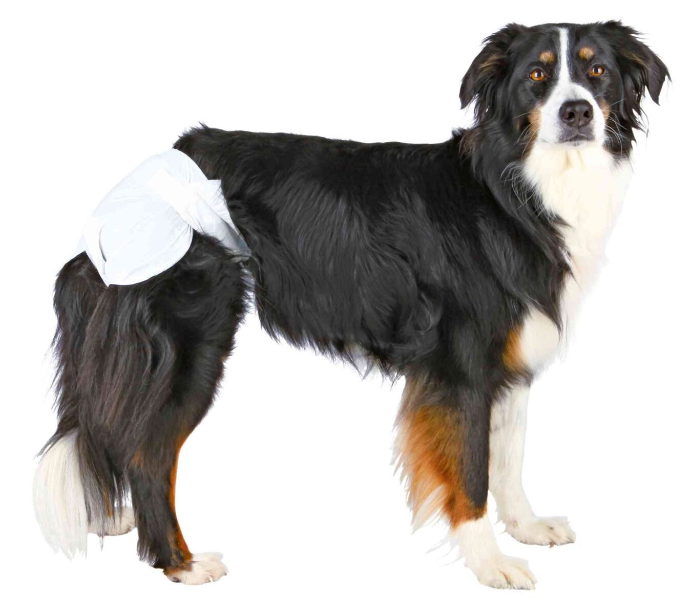 TRIXIE Hundewindel Windeln für Hündinnen - diverse
