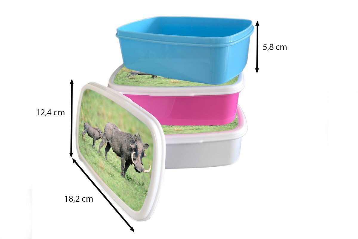 MuchoWow Lunchbox Wild - Schwein Erwachsene, Kinder (2-tlg), für Mädchen für und Brotdose, Kunststoff, Jungs und - Afrika, weiß Brotbox