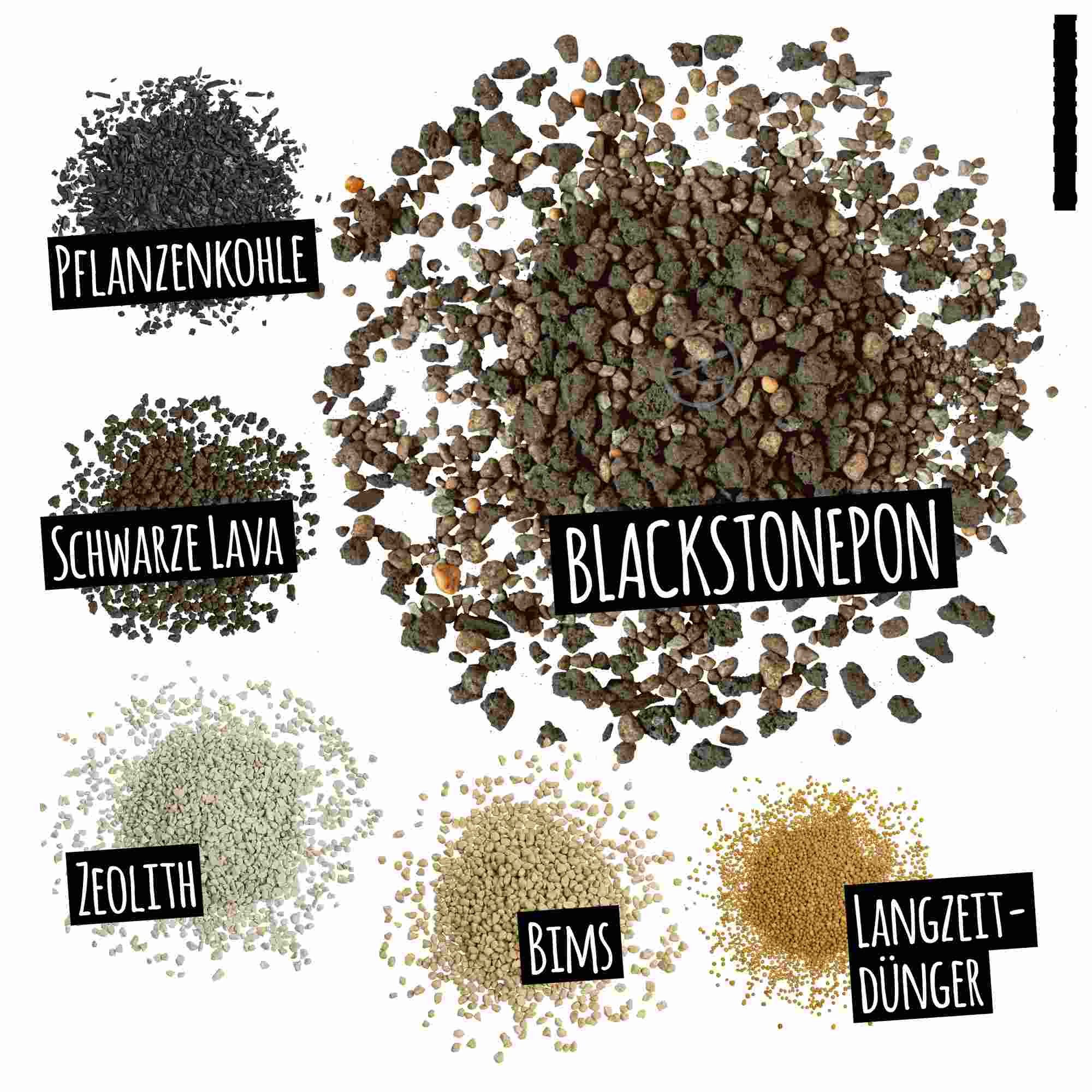 Lechuza® Spezialerde Lechuza Substrat Blackstonepon 12L vorgedüngt 19556