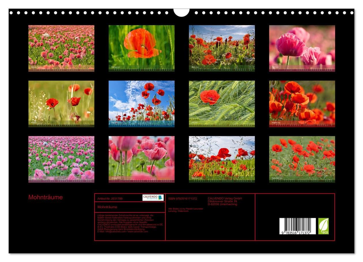 Thumbnail - CALVENDO Wandkalender Mohnträume (Wandkalender 2026 DIN A3 quer), CALVENDO Monatskalender
