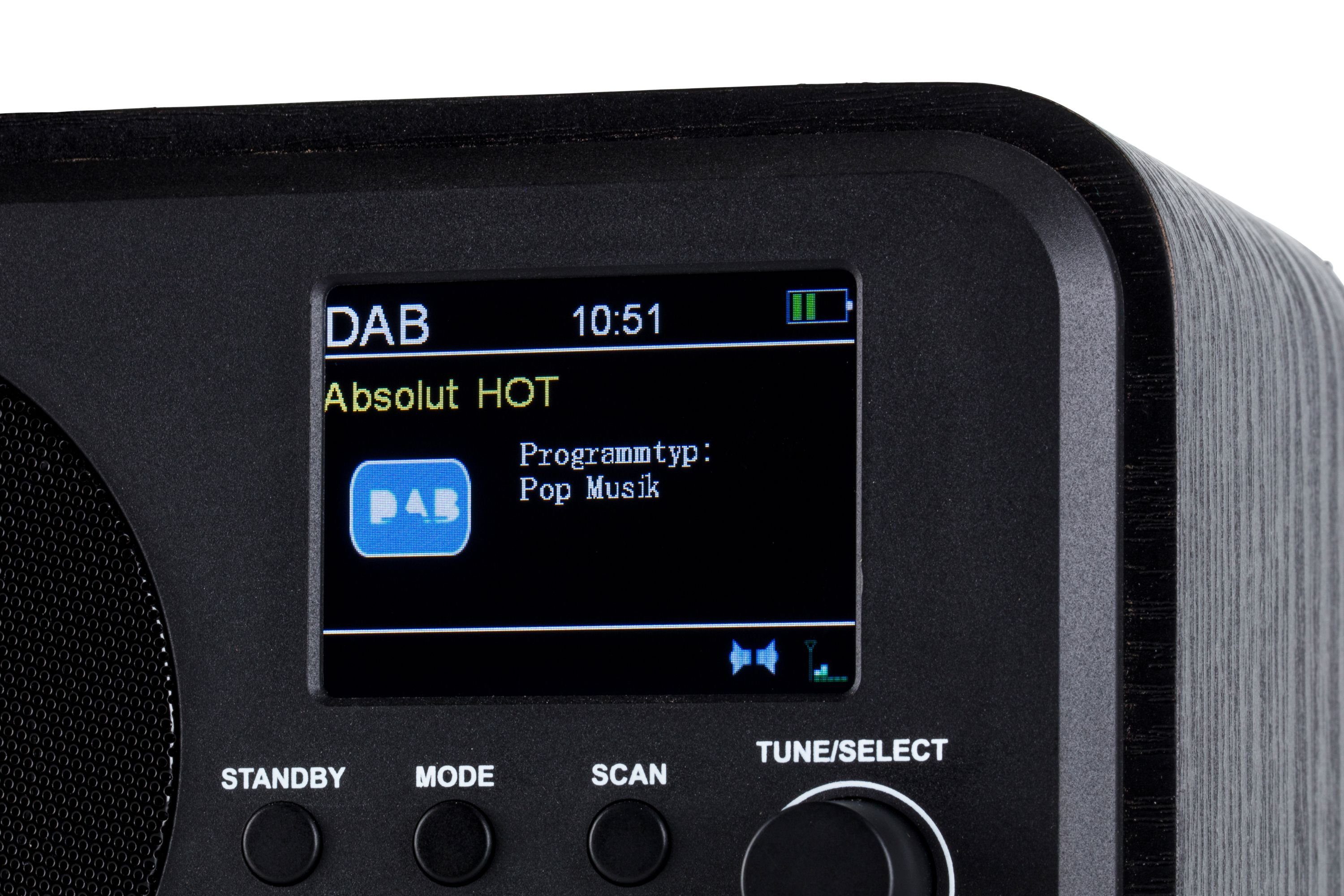 Digitalradio (DAB+ UKW DR eingebautem Bluetooth und Radio, (DAB) UNIVERSUM* Akku) 300-20 mit