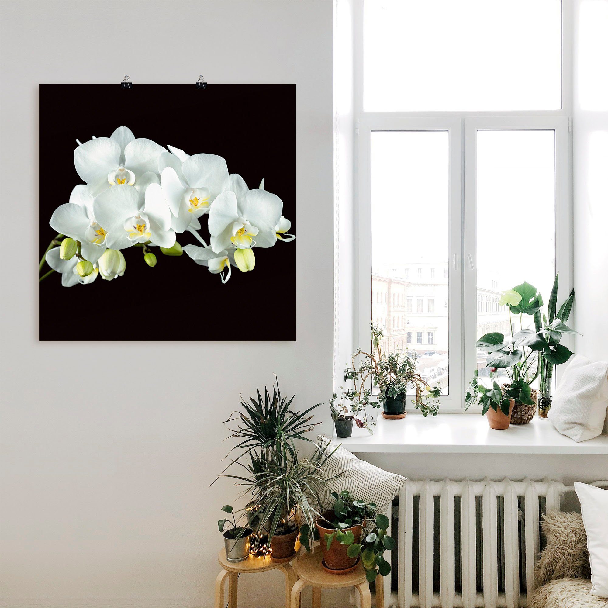 Größen oder Weiße Blumen (1 auf Orchidee Wandbild Hintergrund, Alubild, Wandaufkleber Artland versch. Poster in St), Leinwandbild, als schwarzem