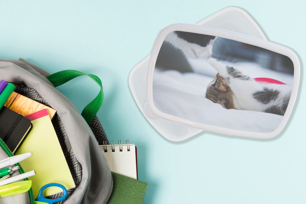 Mädchen - - Kunststoff, MuchoWow Kinder Bettlaken, und Brotbox Kätzchen Brotdose, weiß (2-tlg), für Erwachsene, für Katze Lunchbox Jungs und