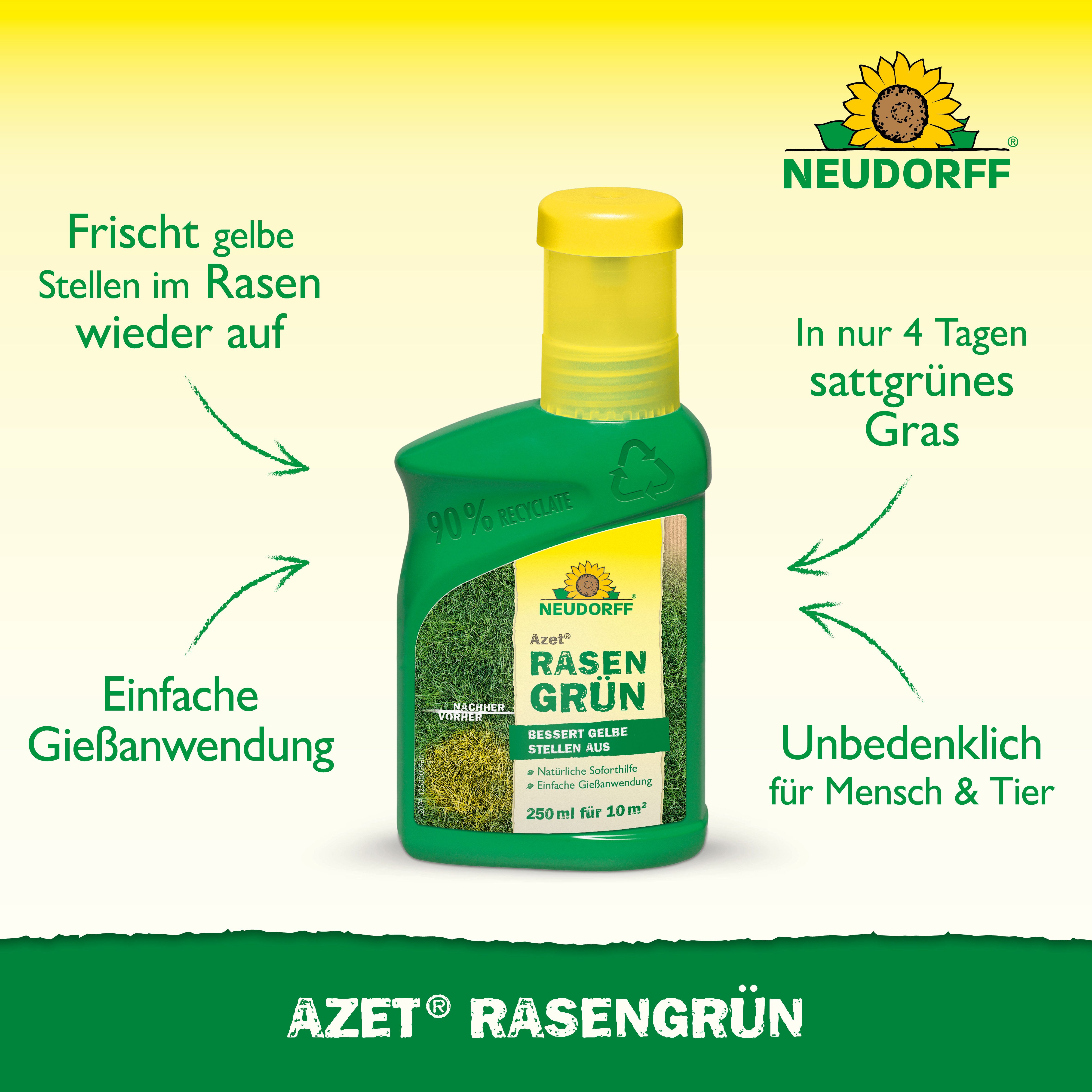 Neudorff Rasendünger Azet Rasengrün 250 ml, Gezielte Gießanwendung bei gelben Rasenstellen, Mit 6 % Stickstoff & 3 % Eisen für eine schnelle Grünfärbung, Sofort – Bild 2 von 5