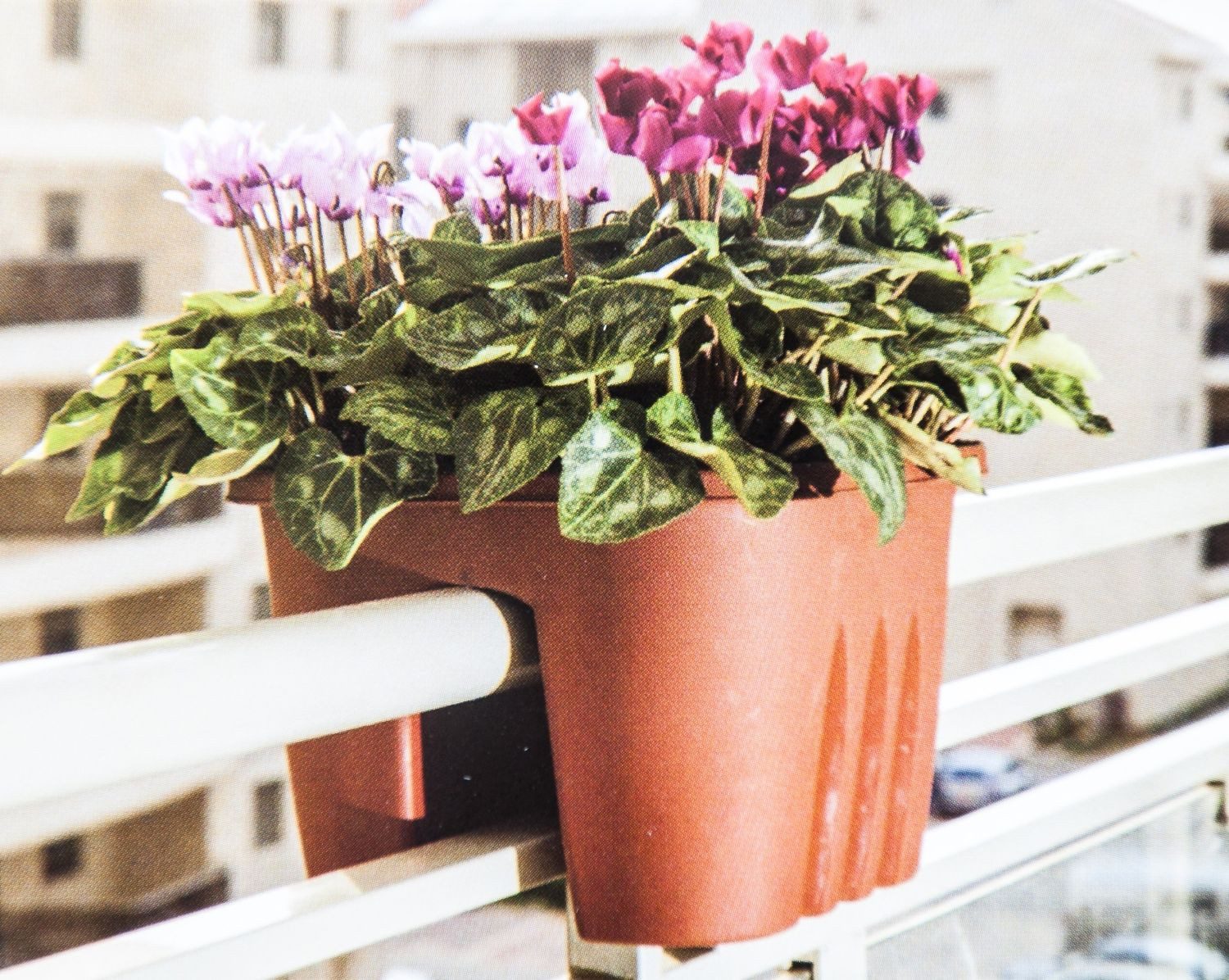 Thumbnail - BURI Blumenbank 2x Blumentopf für den Balkon, Balkongeländer und Balkonbrüstungen