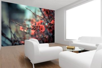 WandbilderXXL Fototapete Pinke Blüte, glatt, XXX, Vliestapete, hochwertiger Digitaldruck, in verschiedenen Größen