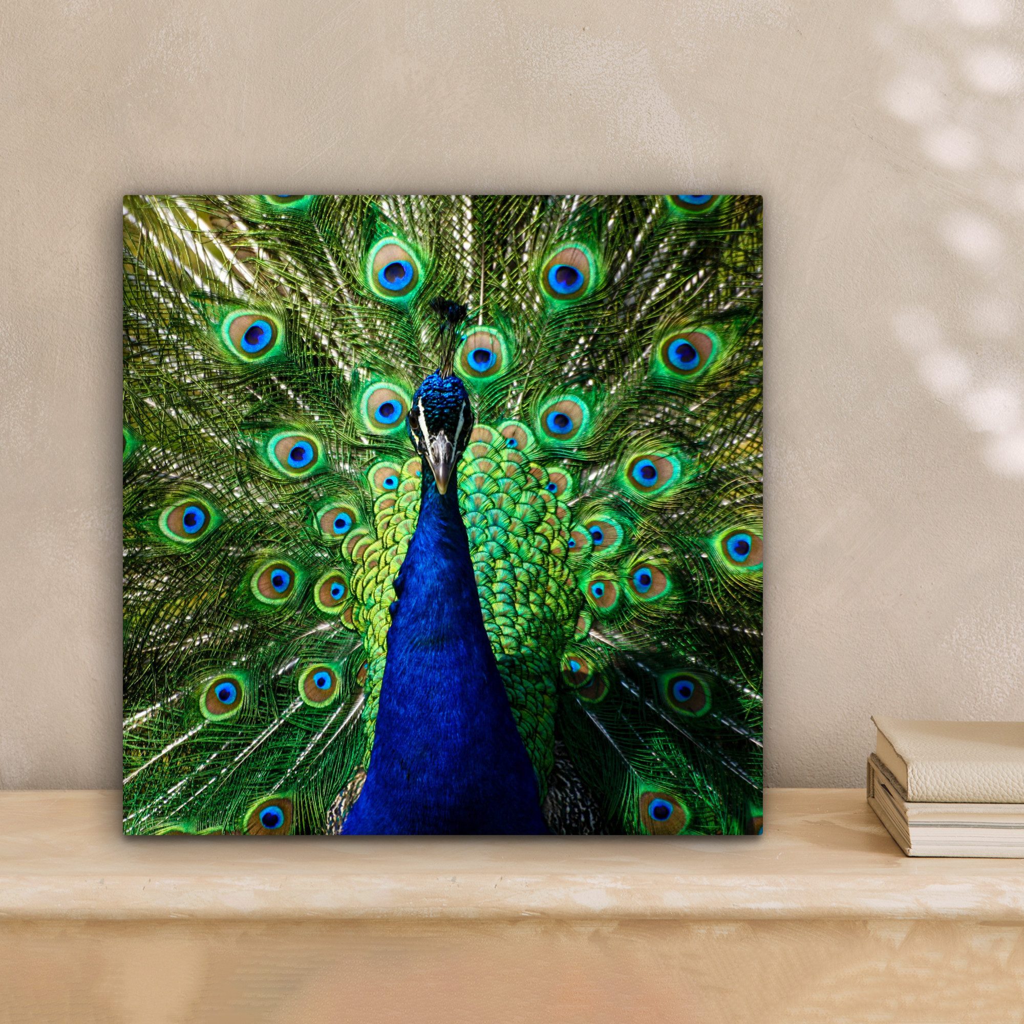 OneMillionCanvasses® Leinwandbild Pfau - Federn - günstig online kaufen