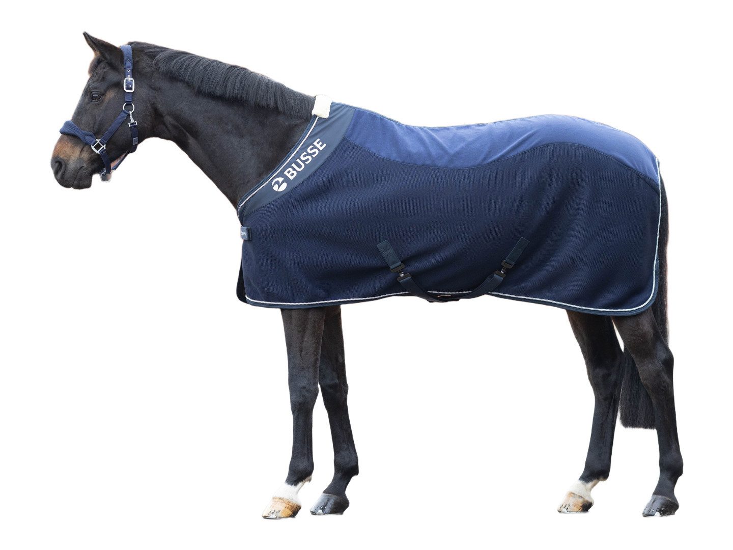 BUSSE Pferde-Abschwitzdecke Abschwitzdecke 3D Air Fleece Premium