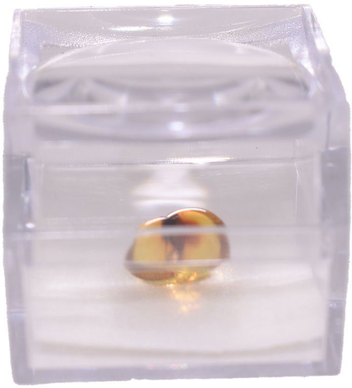 Firetti Dekofigur Schmuck Geschenk Farbstein Edelstein Bernstein mit Insekt, Lupe (2 St), mit Zirkonia (synth)