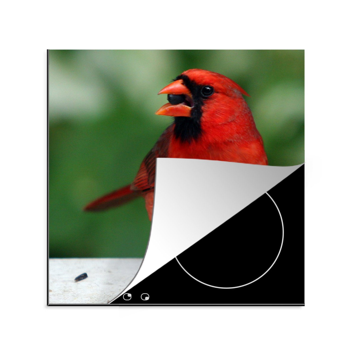 MuchoWow Herdblende-/Abdeckplatte Leuchtend roter Kardinal mit einem Samen im Mund, Vinyl, (1 tlg), 78x78 cm, Ceranfeldabdeckung, Arbeitsplatte für küche