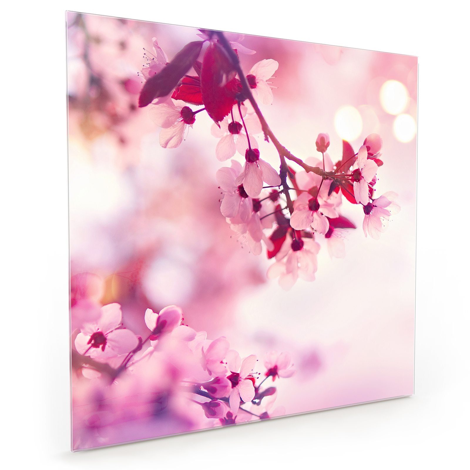 Primedeco Küchenrückwand Frühlingsblüte mit Küchenrückwand Spritzschutz Motiv Glas