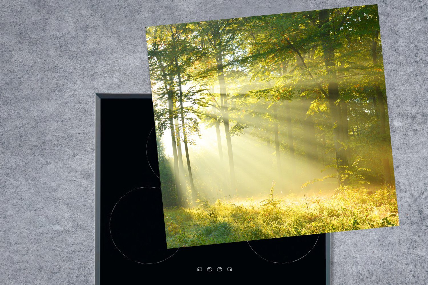 MuchoWow Herdblende-/Abdeckplatte Wald Licht 78x78 - für Vinyl, Ceranfeldabdeckung, - cm, (1 küche tlg), Arbeitsplatte Frühling