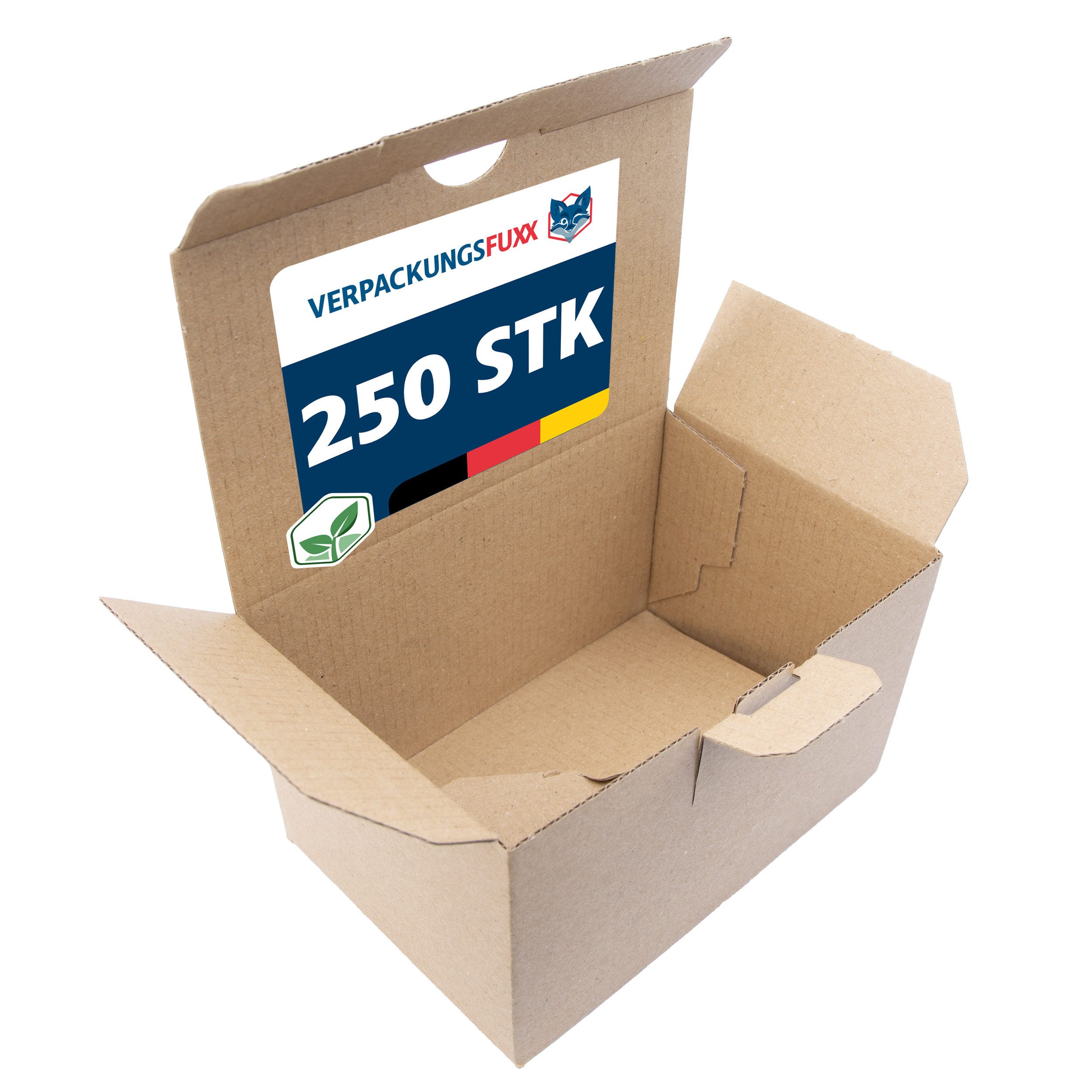 VERPACKUNGSFUXX Versandkarton Karton mit Automatikboden 15 x 10 x 9 cm, 250 Stk., Steckverschluss, 1-wellig, Päckchen