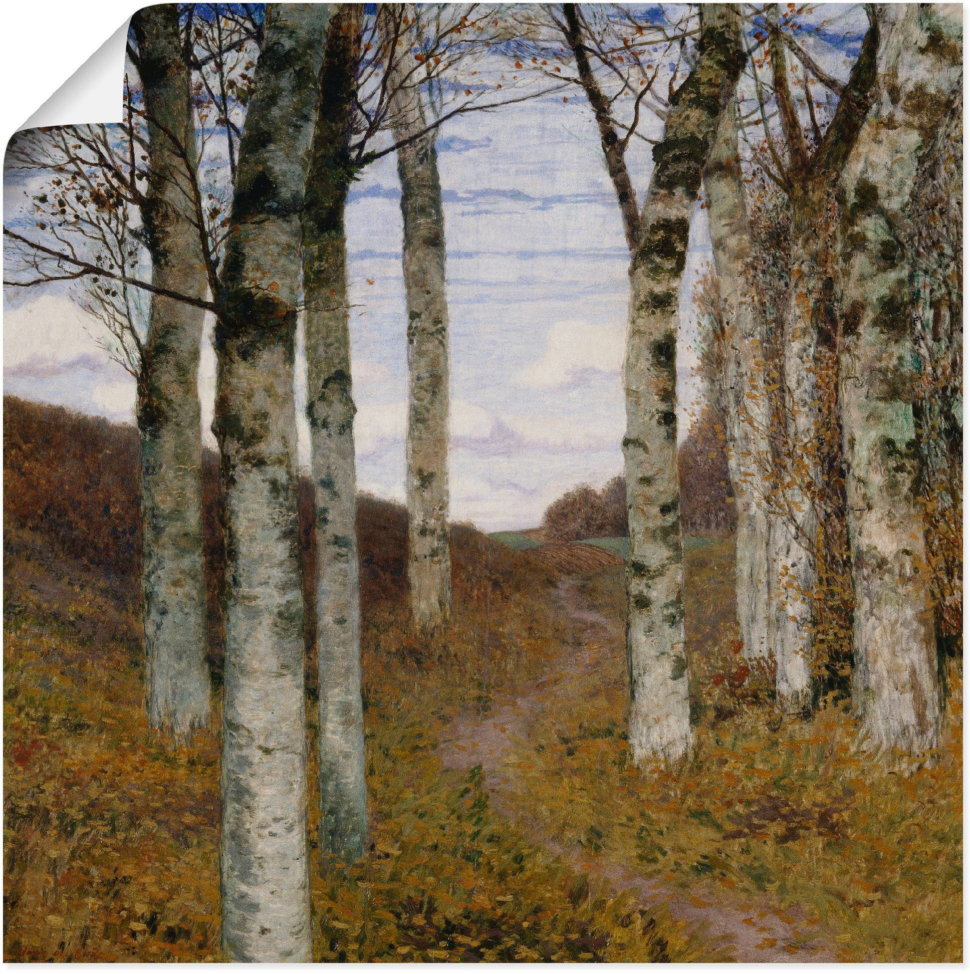 versch. (1 Poster Um & als 1898, St), Herbst. Wandbild Wandaufkleber oder Leinwandbild, Artland in Birken Wiesen Alubild, im Bäume Größen