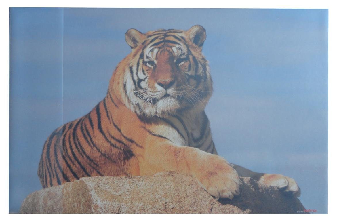 Schreibtischunterlage Schreibtischunterlage 58,5x38,5cm / "Tiger"