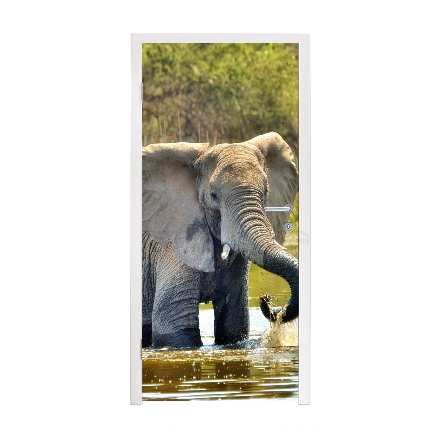 MuchoWow Türtapete Elefant - Wasser - Tiere - Natur, Matt, bedruckt, (1 St), Fototapete für Tür, Türaufkleber, 75x205 cm