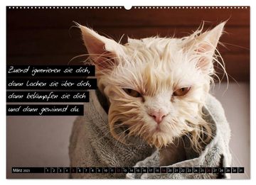 CALVENDO Wandkalender Der "philosophische" Katzenkalender 2023 (Premium, hochwertiger DIN A2 Wandkalender 2023, Kunstdruck in Hochglanz)
