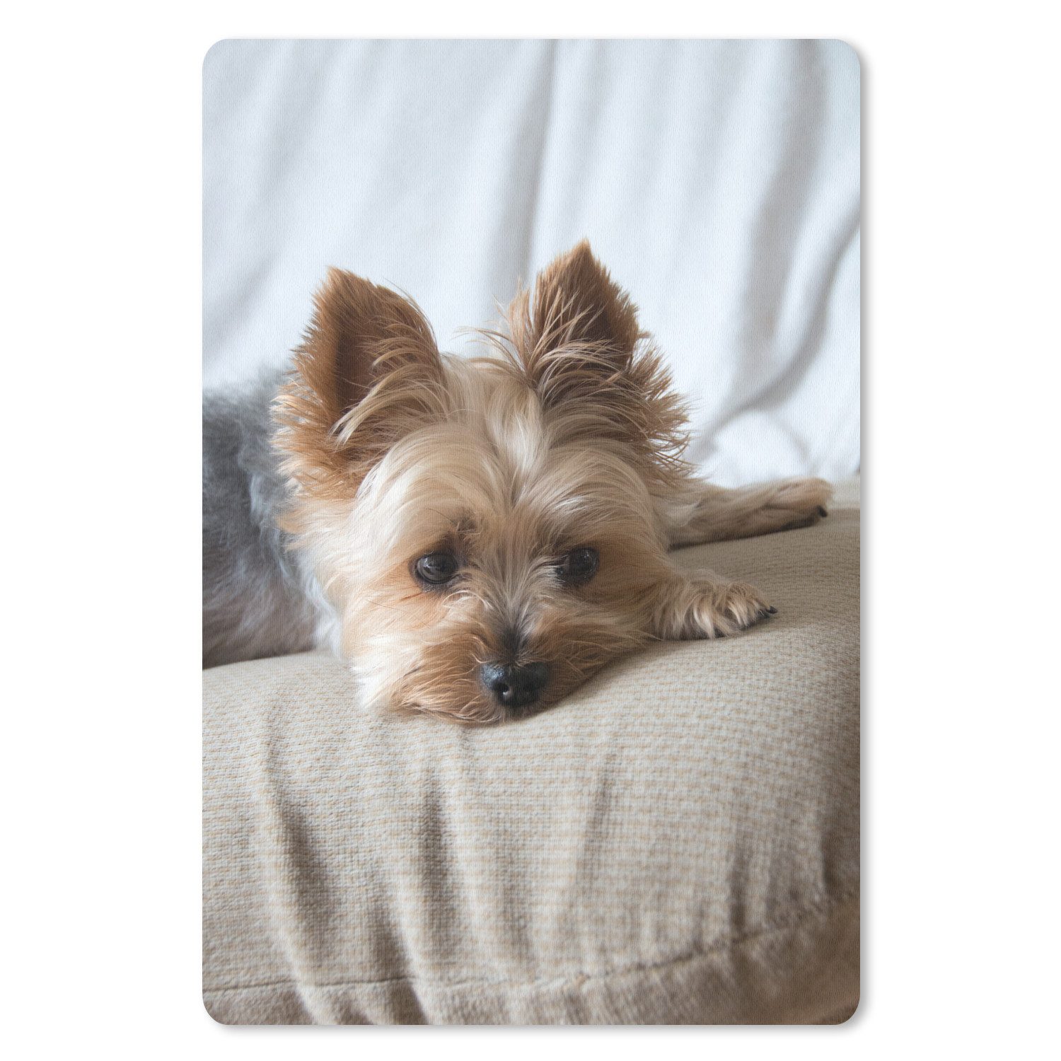 MuchoWow Mauspad Yorkshire Terrier liegt schlafend auf dem Sofa (1-St), Maus Pad Klein, Gaming Zubehör, Büro Deko, 18x27 cm