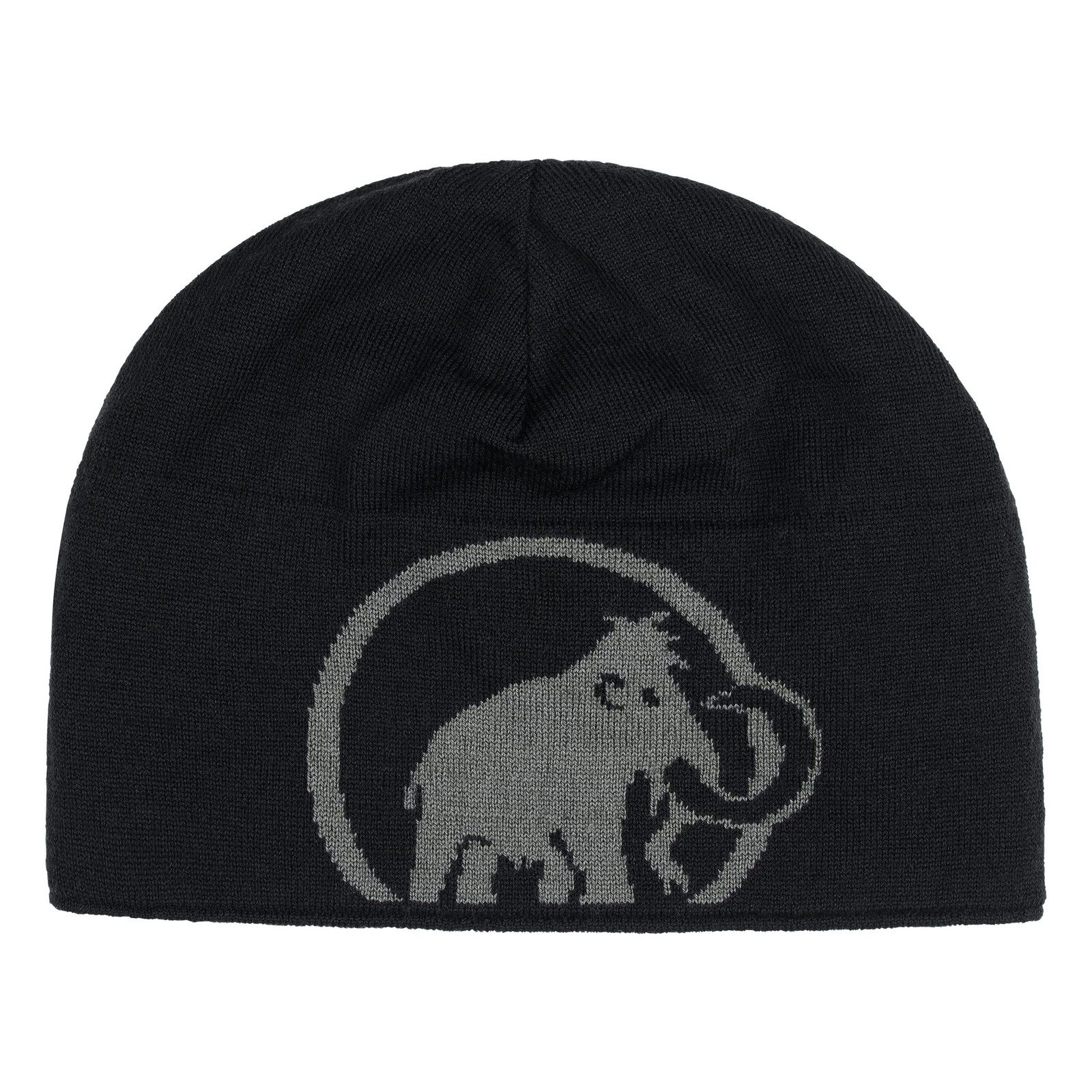 Mammut Beanie Mammut Logo Beanie kann beidseitig getragen werden