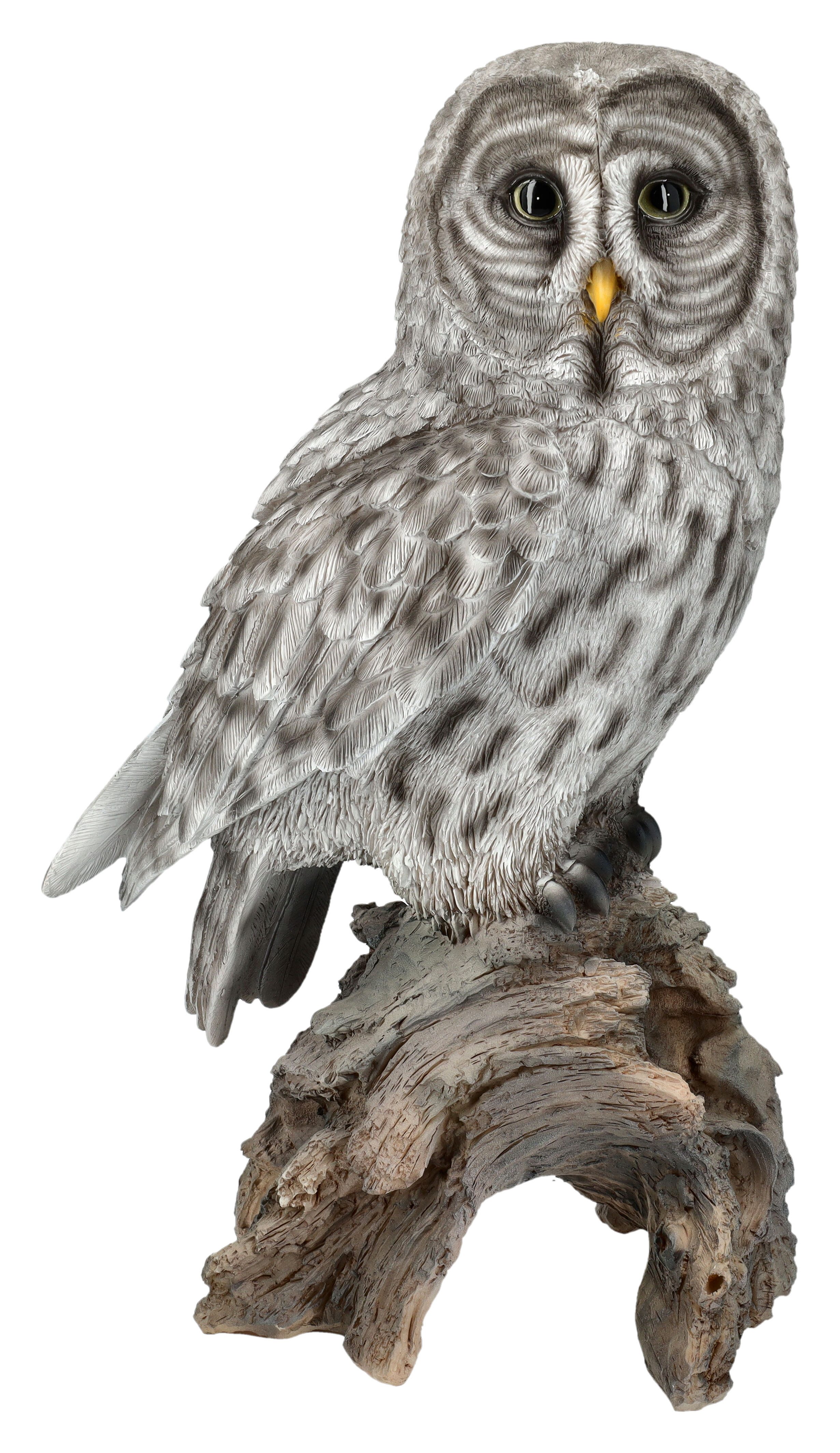 Figuren Shop GmbH Tierfigur Gartenfigur Eule günstig online kaufen