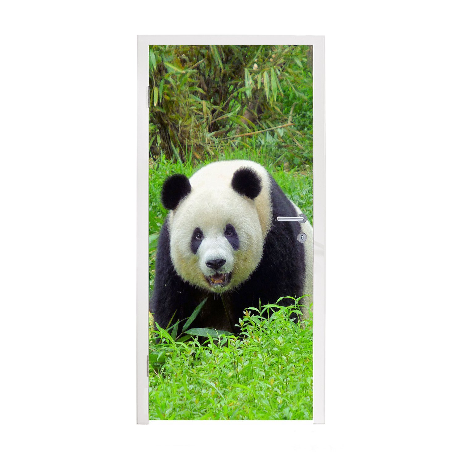 (1 Tür, Panda Türtapete Fototapete cm - für - Türaufkleber, St), Gras MuchoWow Tier, bedruckt, 75x205 Matt,