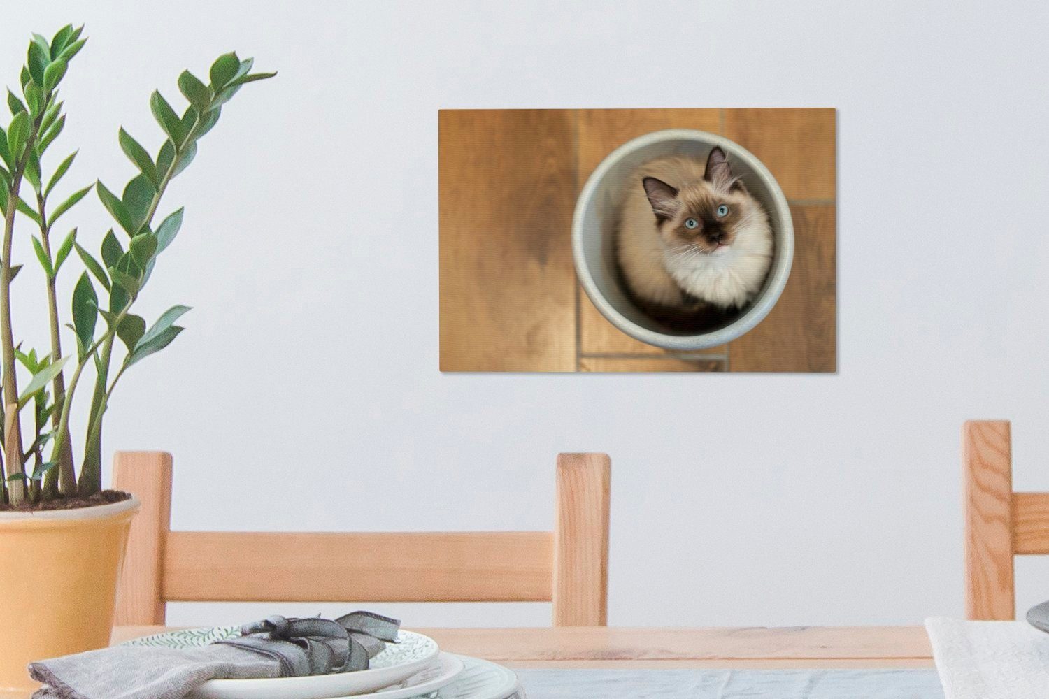 OneMillionCanvasses® Leinwandbild Eine Ragdoll-Katze 30x20 Wandbild St), Plastikeimer, in (1 Wanddeko, einem Leinwandbilder, cm Aufhängefertig