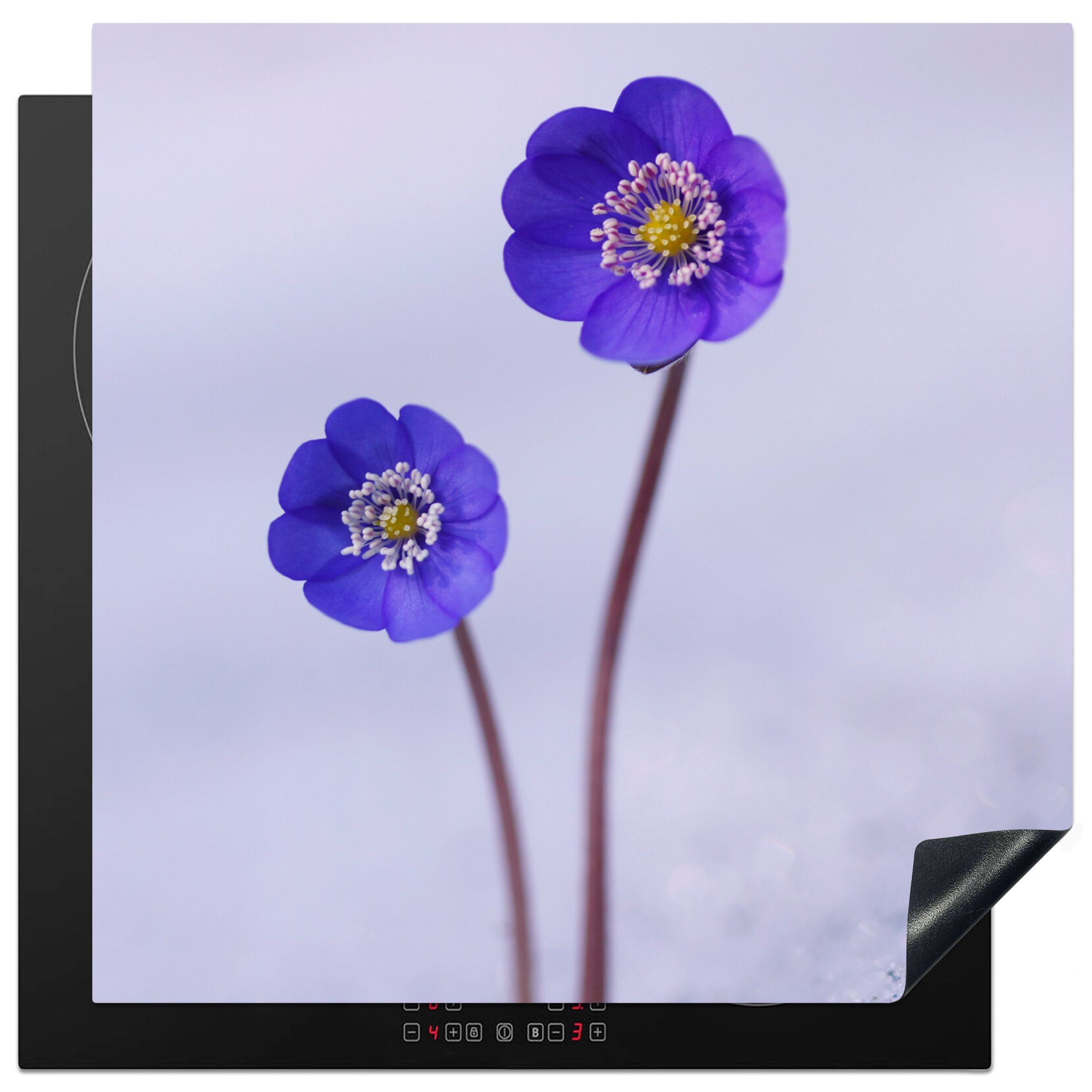 MuchoWow Herdblende-/Abdeckplatte Blumen - Schnee - Lila, Vinyl, (1 tlg), 78x78 cm, Ceranfeldabdeckung, Arbeitsplatte für küche
