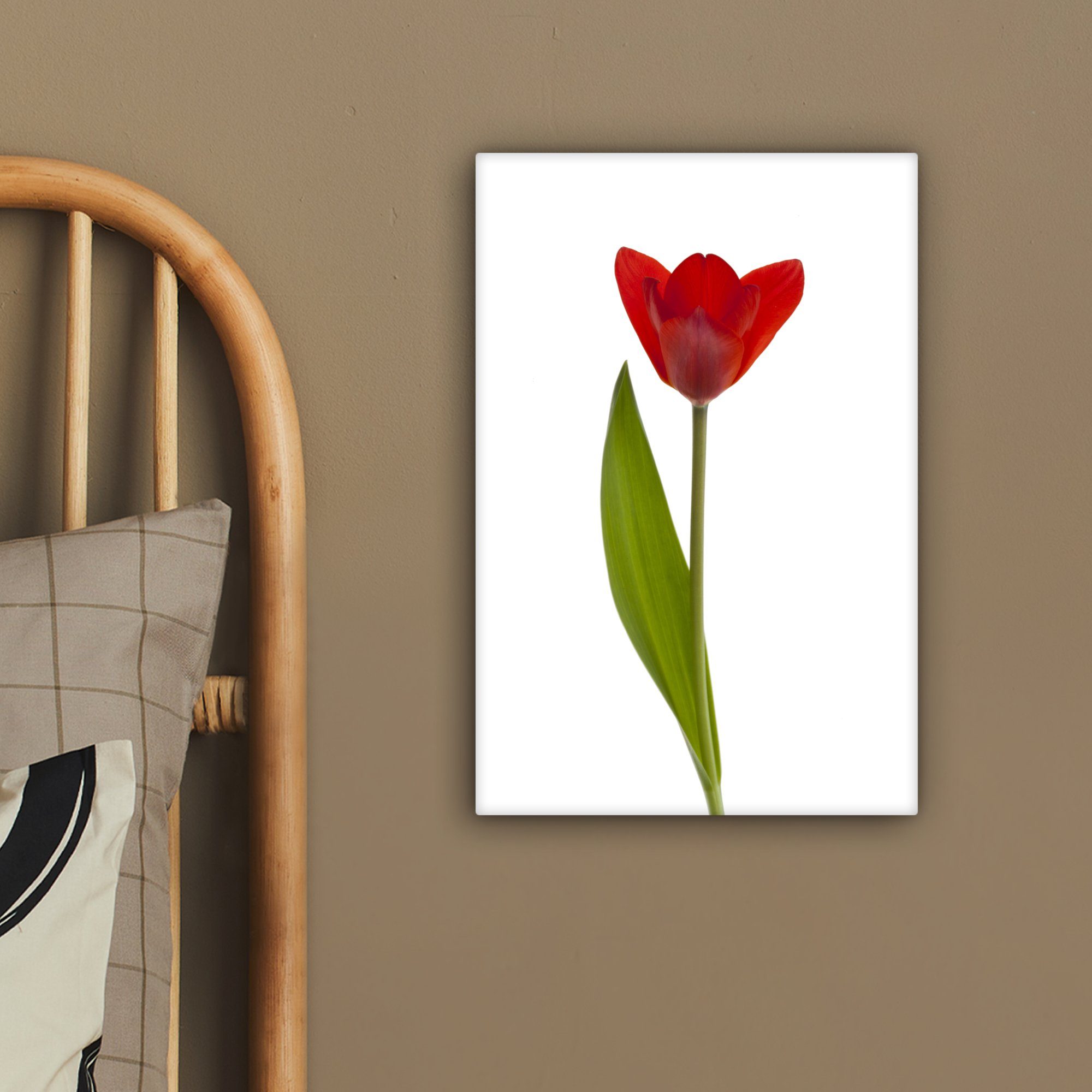 Zackenaufhänger, Gemälde, cm OneMillionCanvasses® fertig Leinwandbild bespannt Hintergrund, Leinwandbild Rote 20x30 (1 St), Tulpe weißem inkl. vor